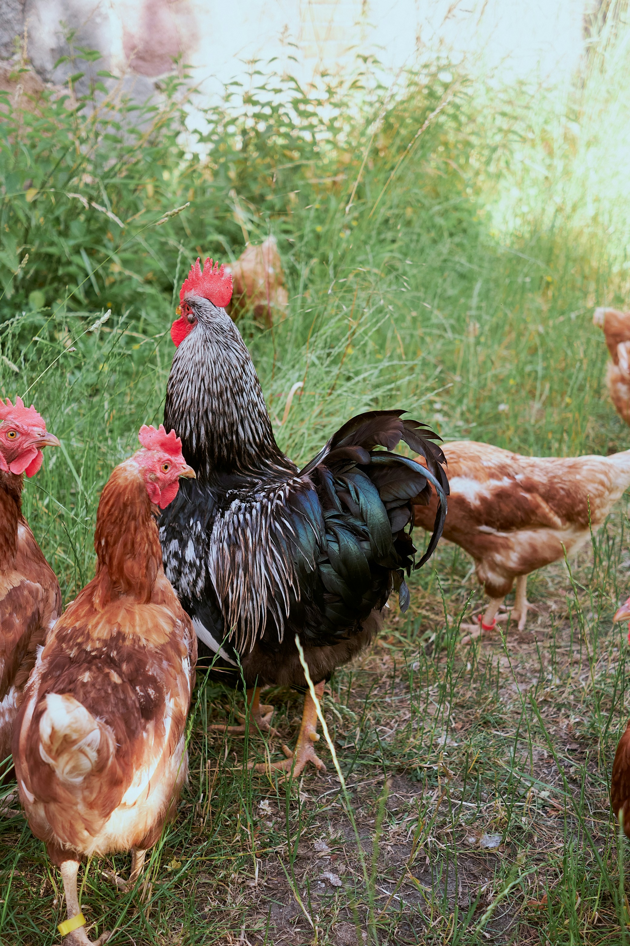 Photo by dennysachtleben