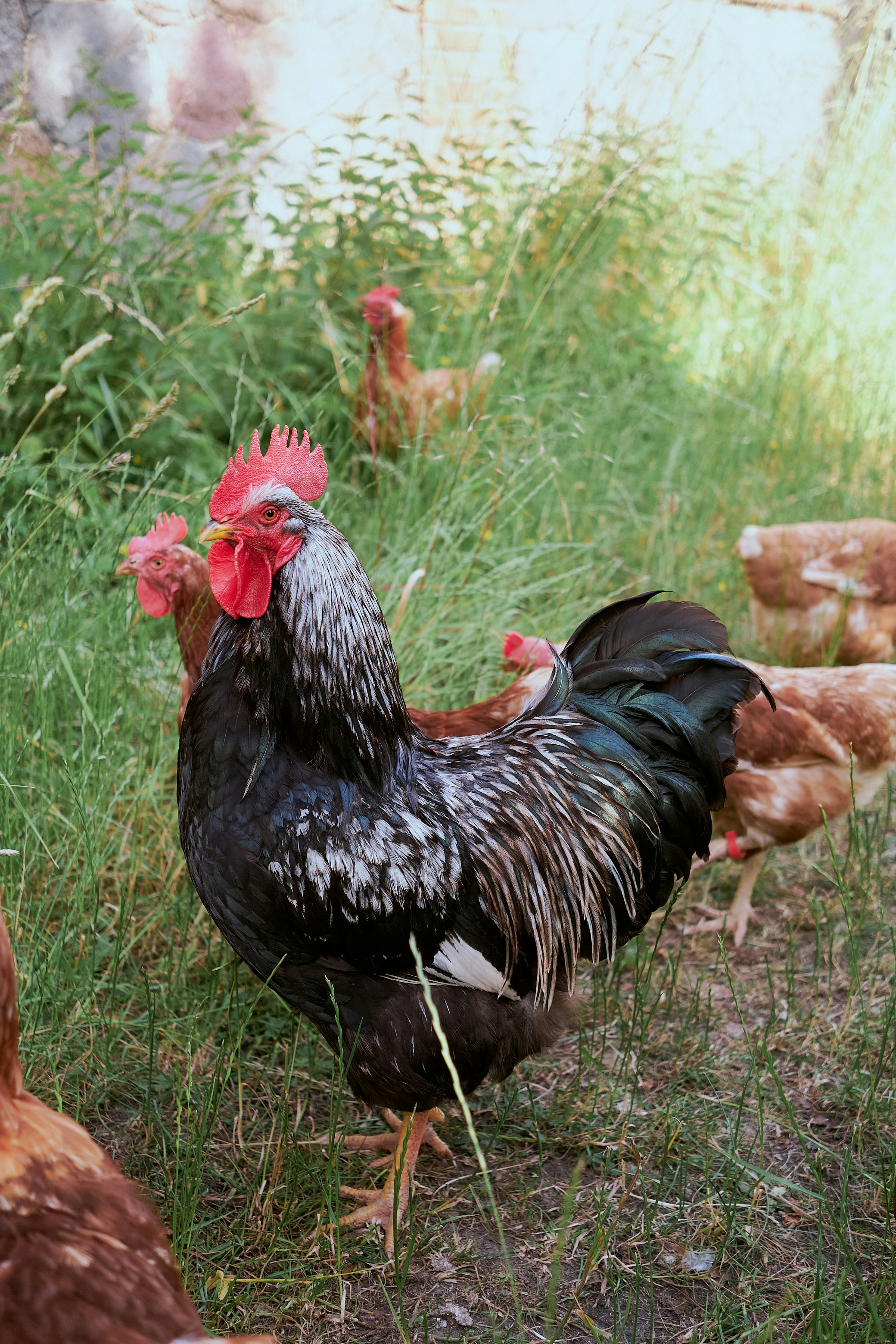 Photo by dennysachtleben