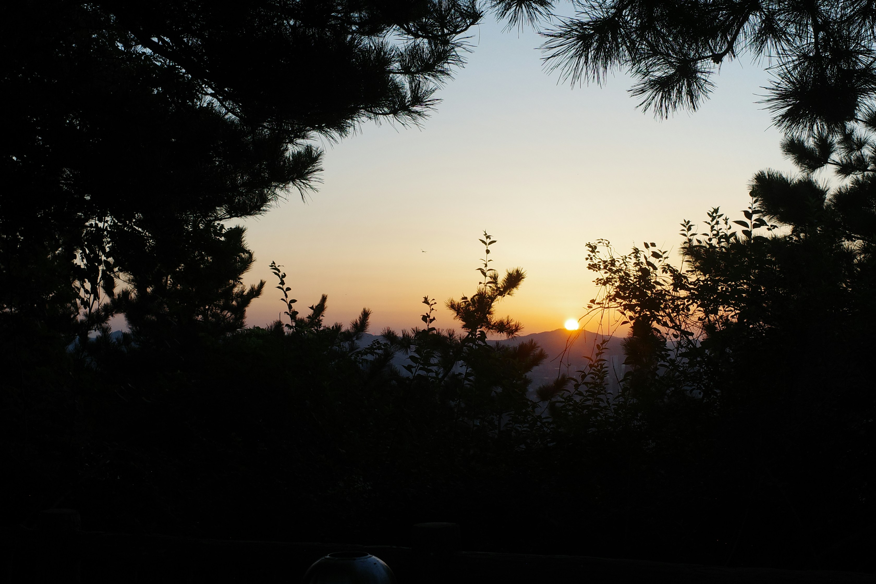 Photo by renjianxiaotiangua