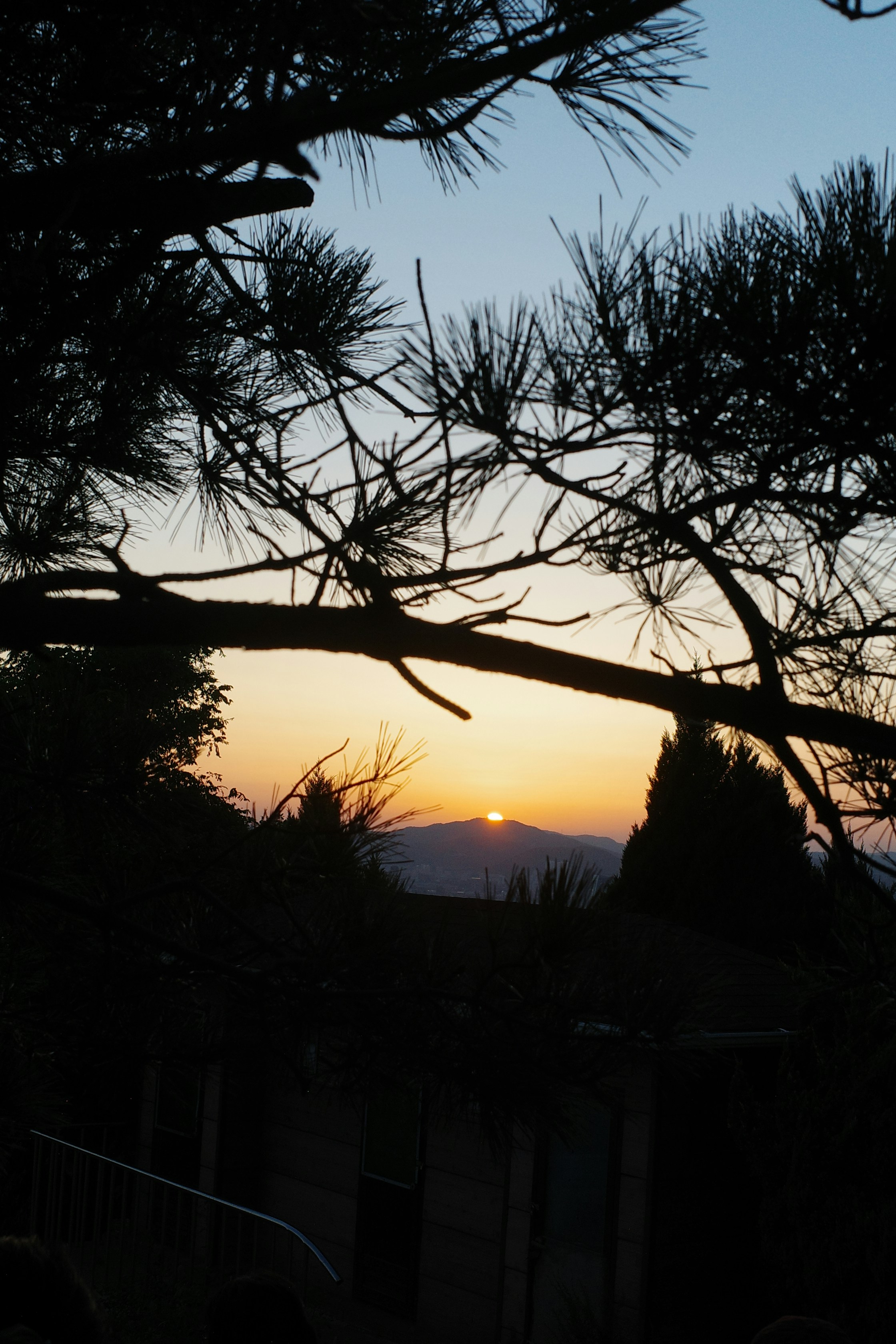 Photo by renjianxiaotiangua