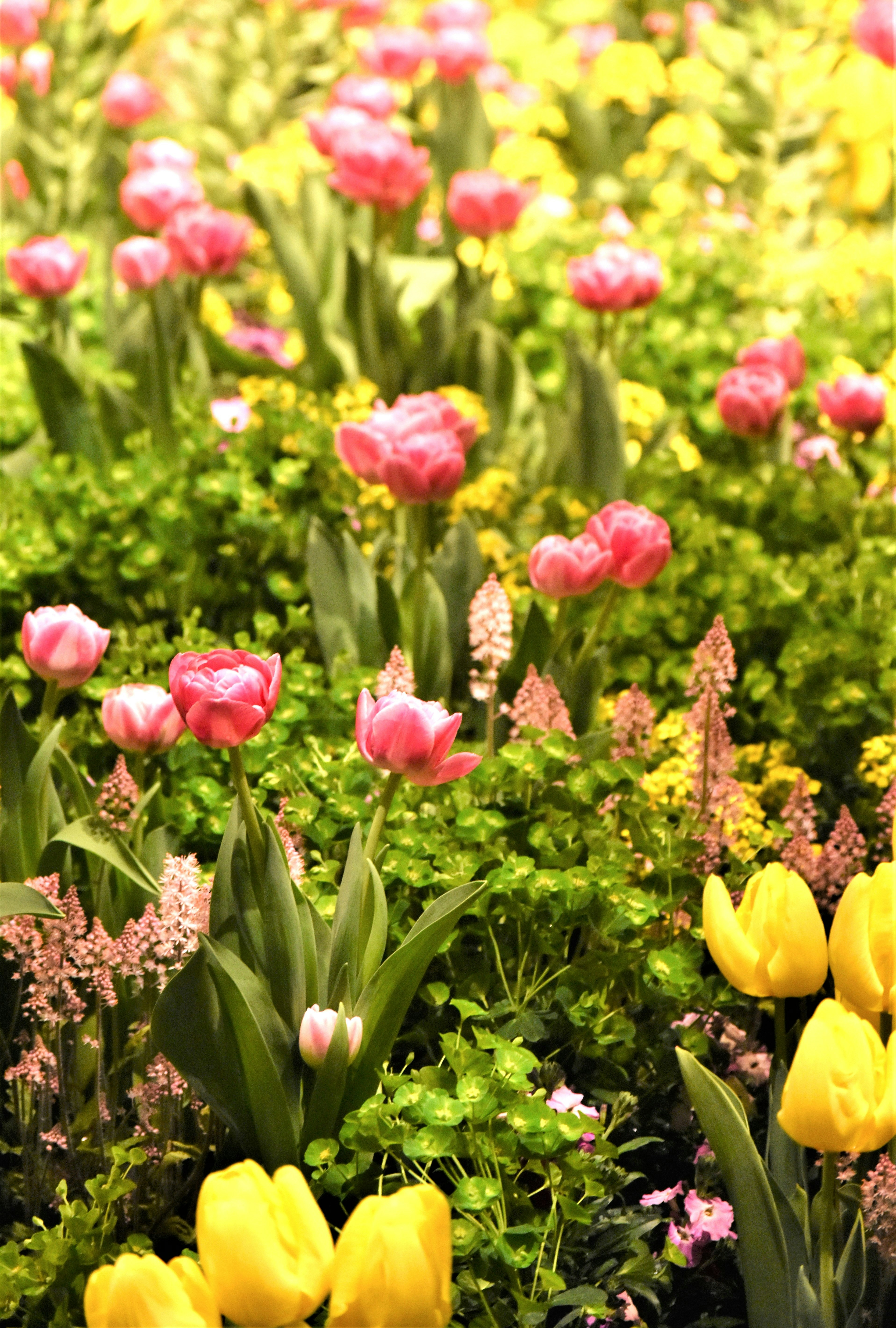 Photo by danielelarosa