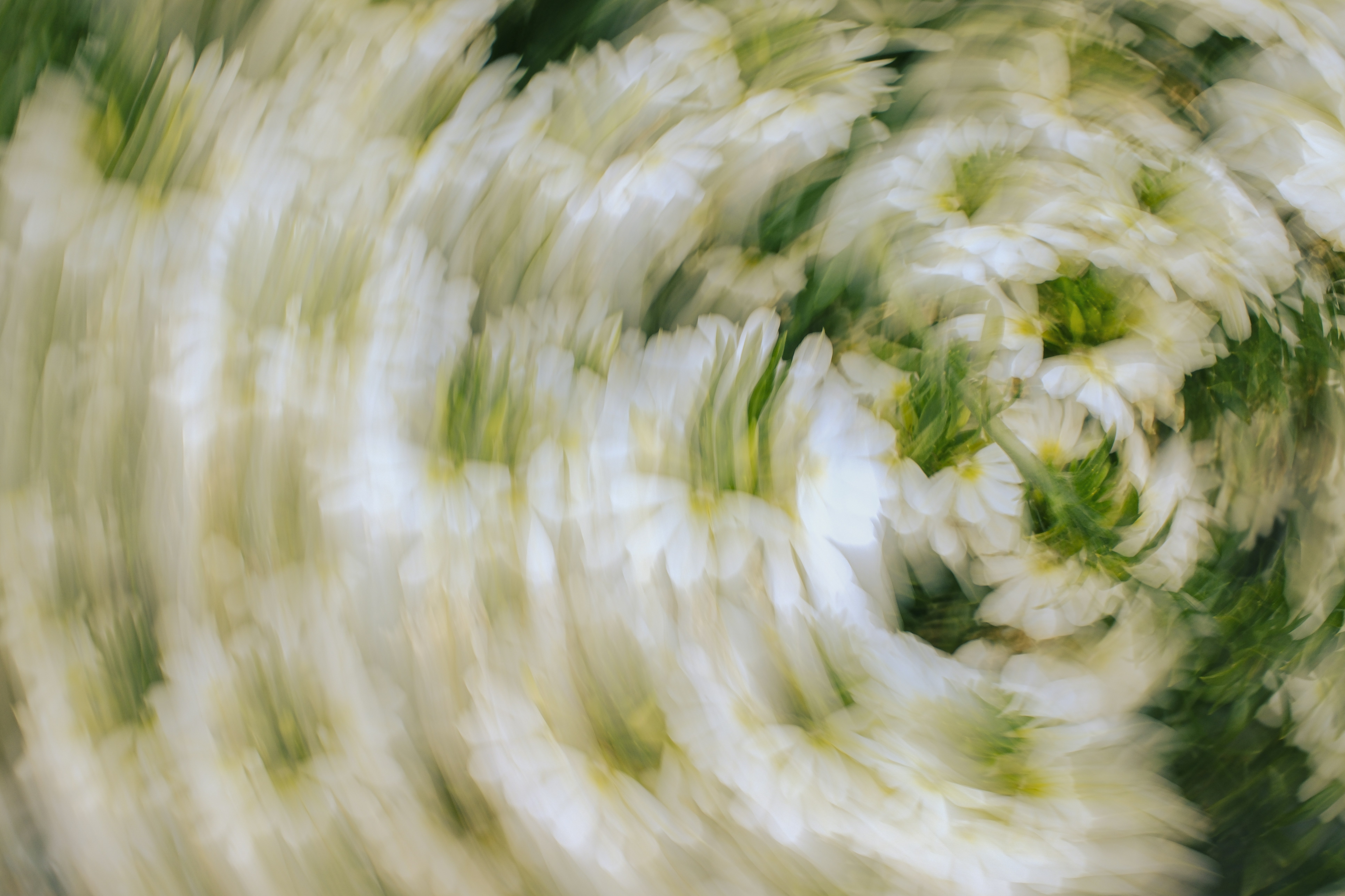 Photo by inga_images