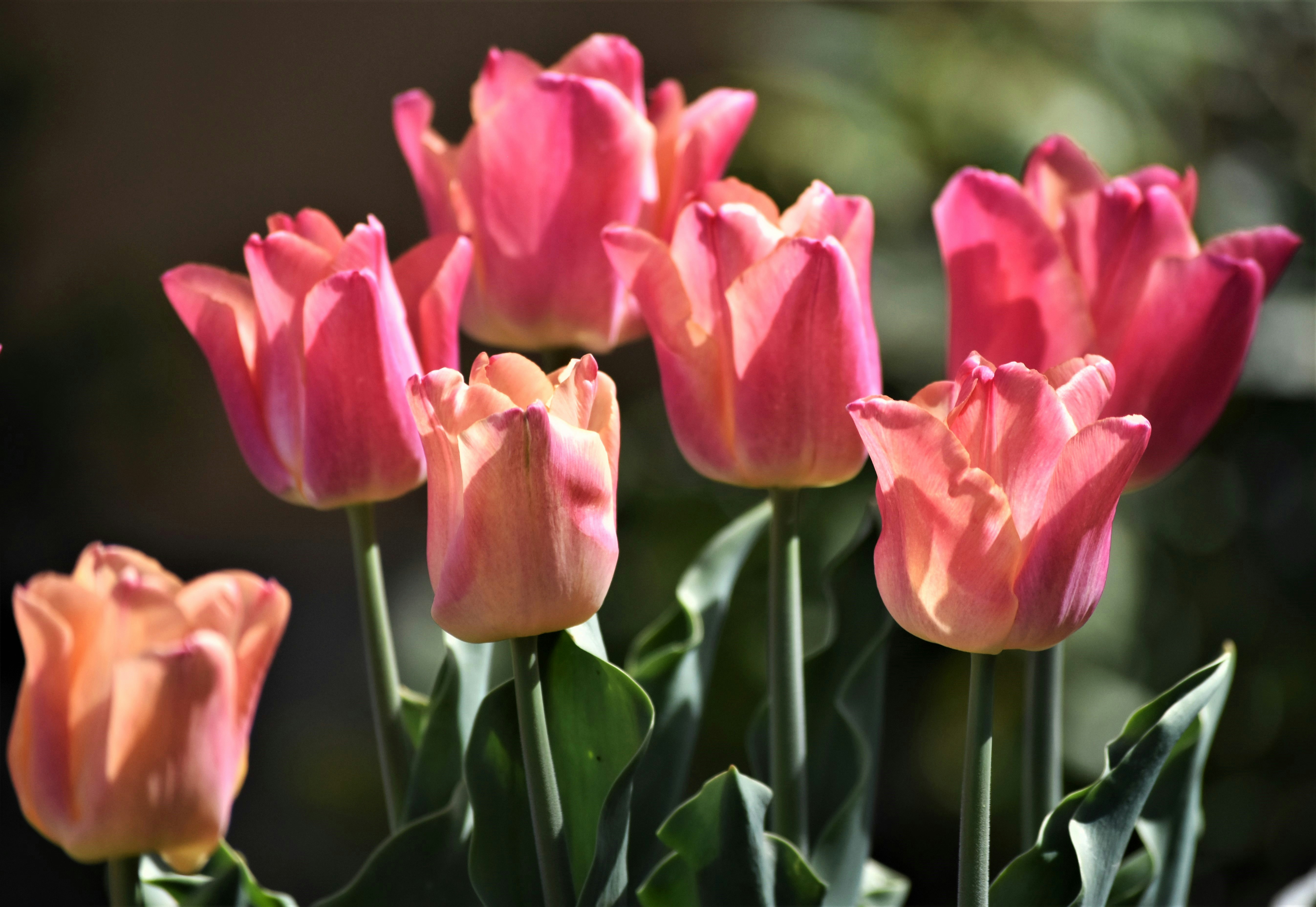 Photo by danielelarosa