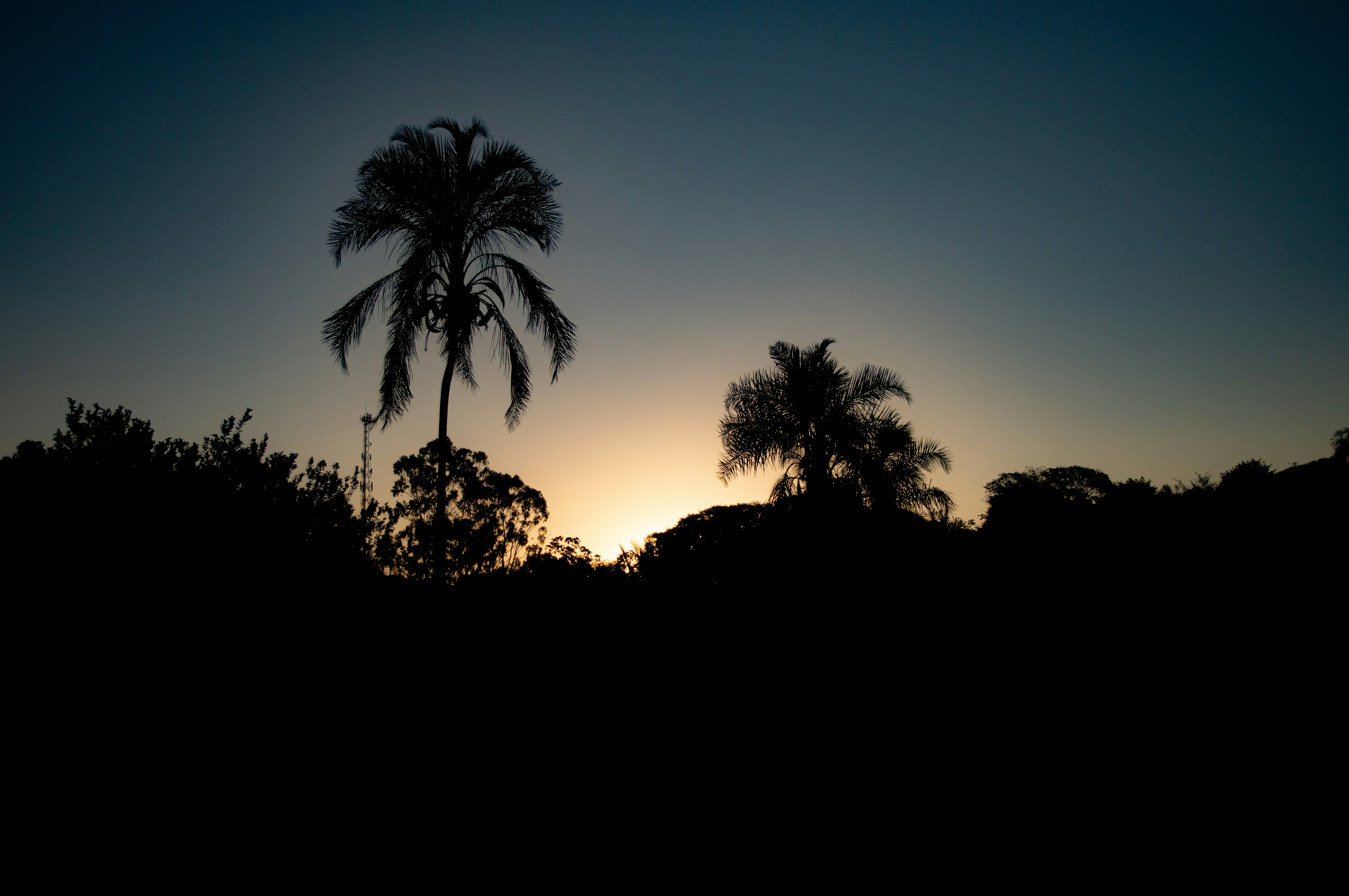 Photo by alipiojr