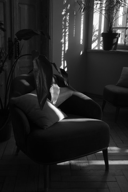 Sunlight streaming through window onto chairs and plants