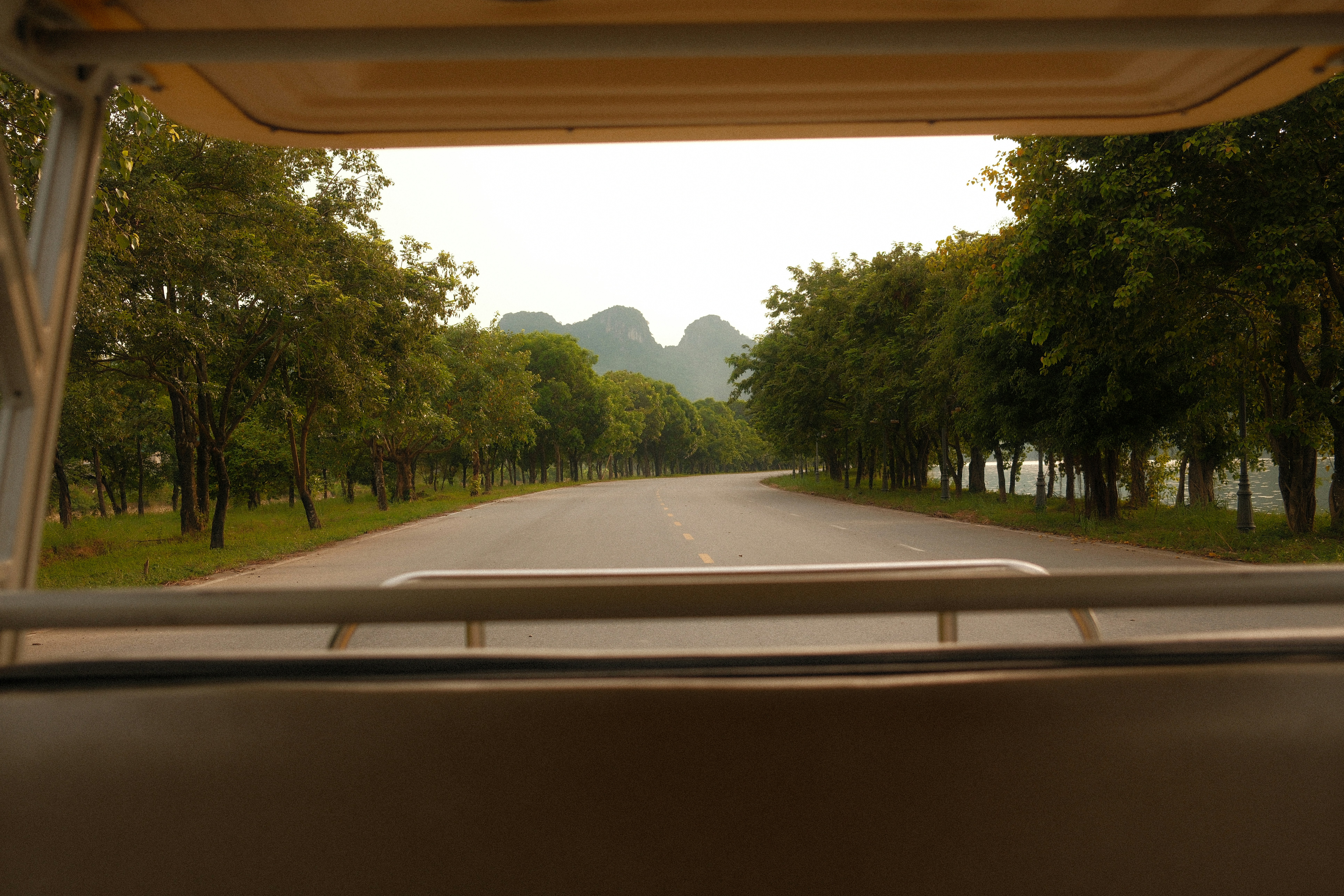 Tree-lined road at Tam Chuc Pagoda leading toward limestone hills, seen from the back of an electric cart at golden hour.