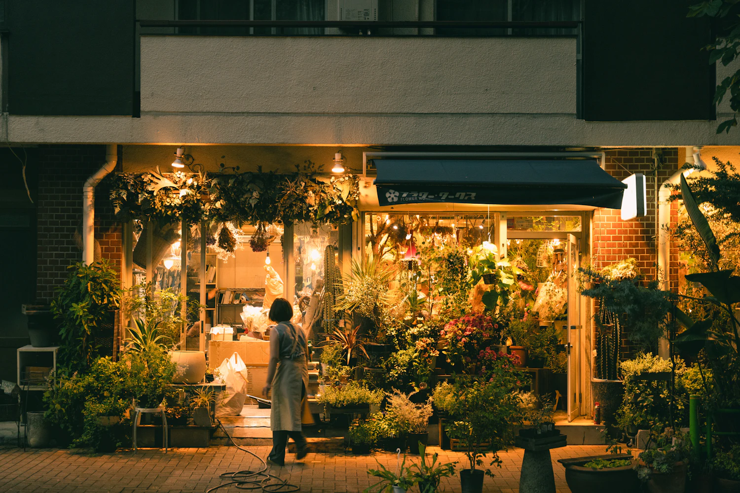The lit window of a florist&rsquo;s shop at dusk, with a woman looking in from the pavement