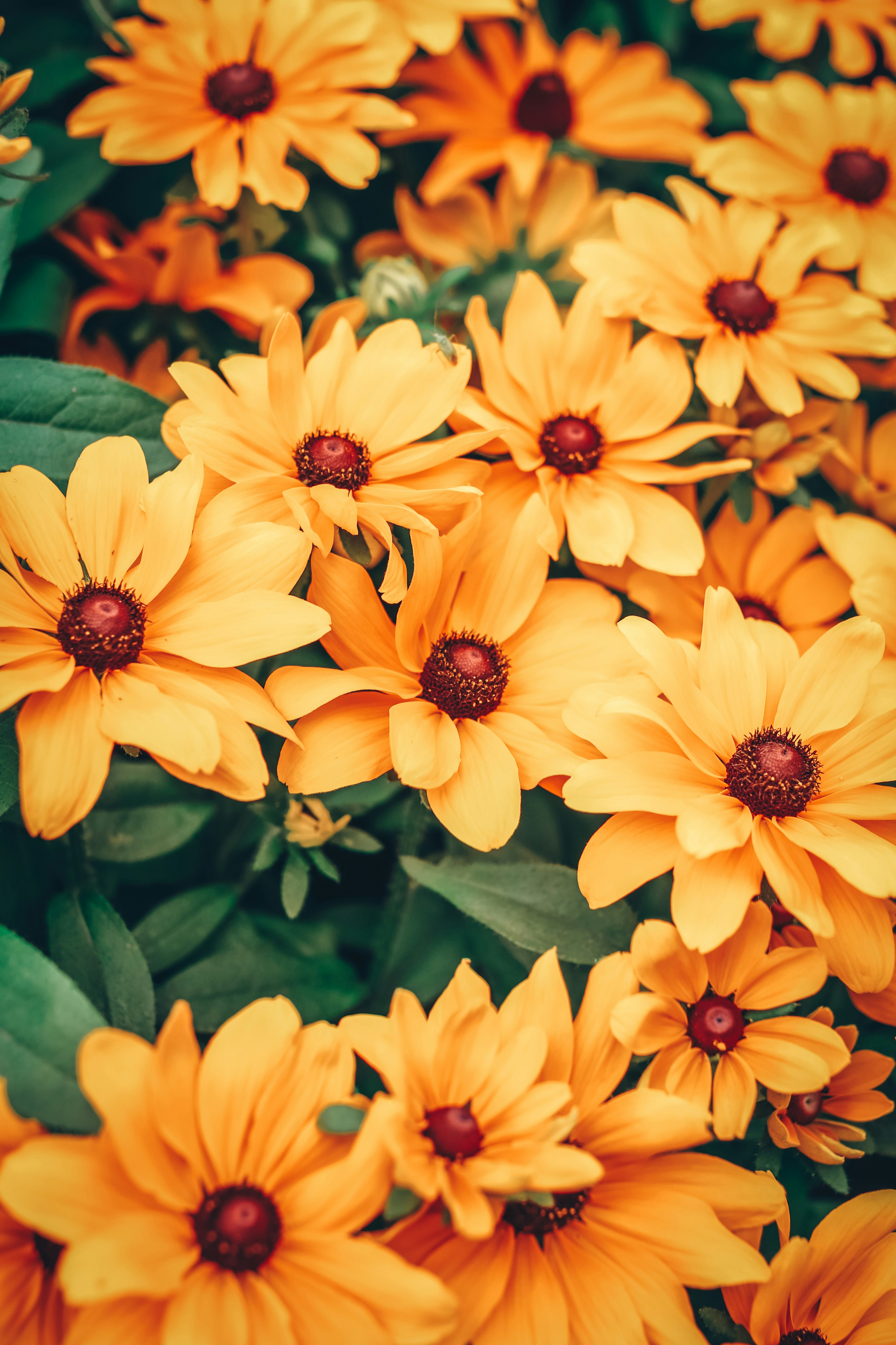 Photo by itsmeroland