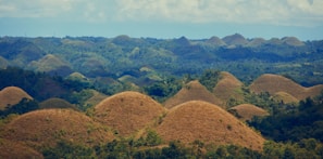 Rolling brown hills covered in dry grass under sky