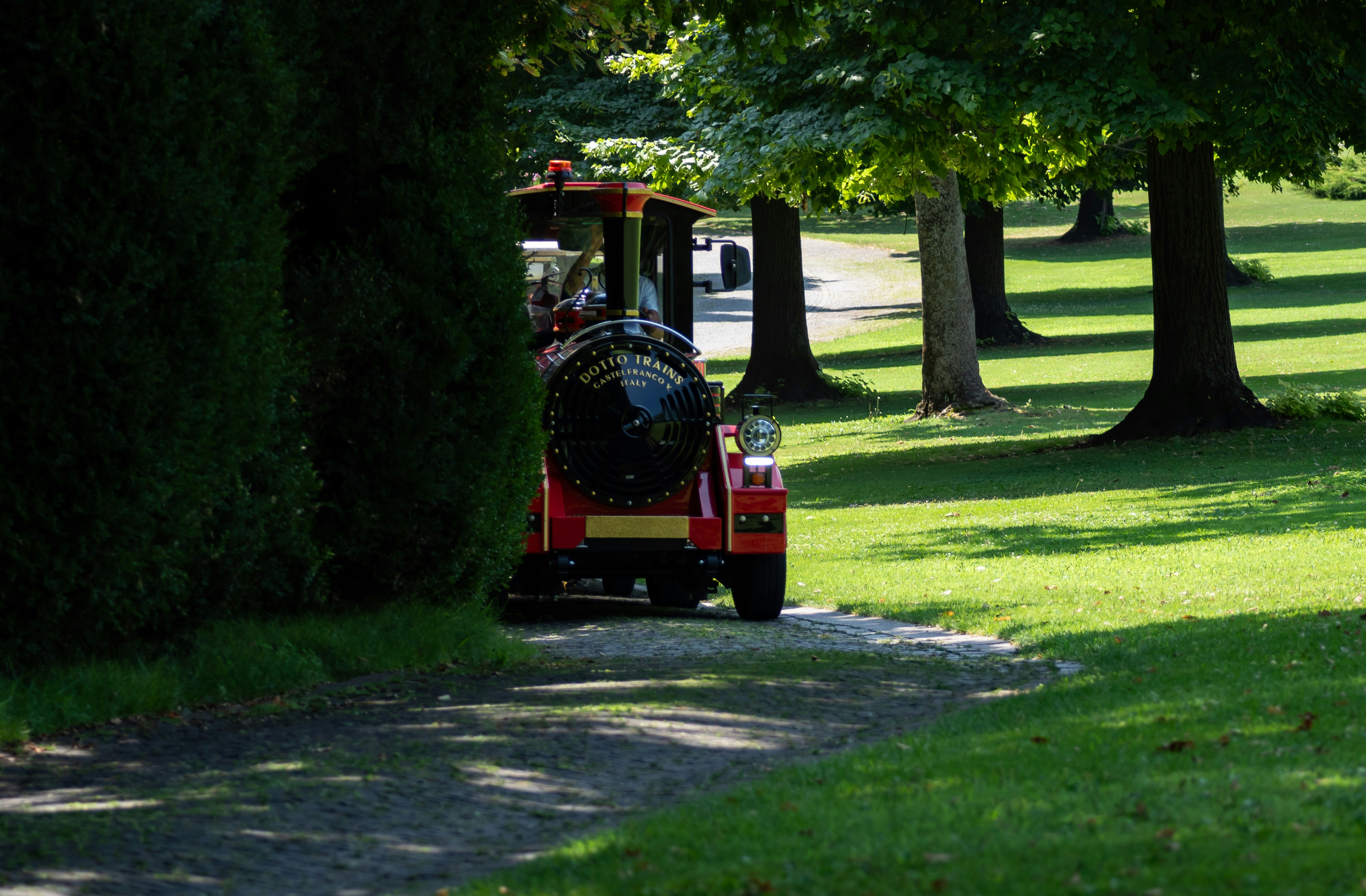 A small train travels on a path through trees.