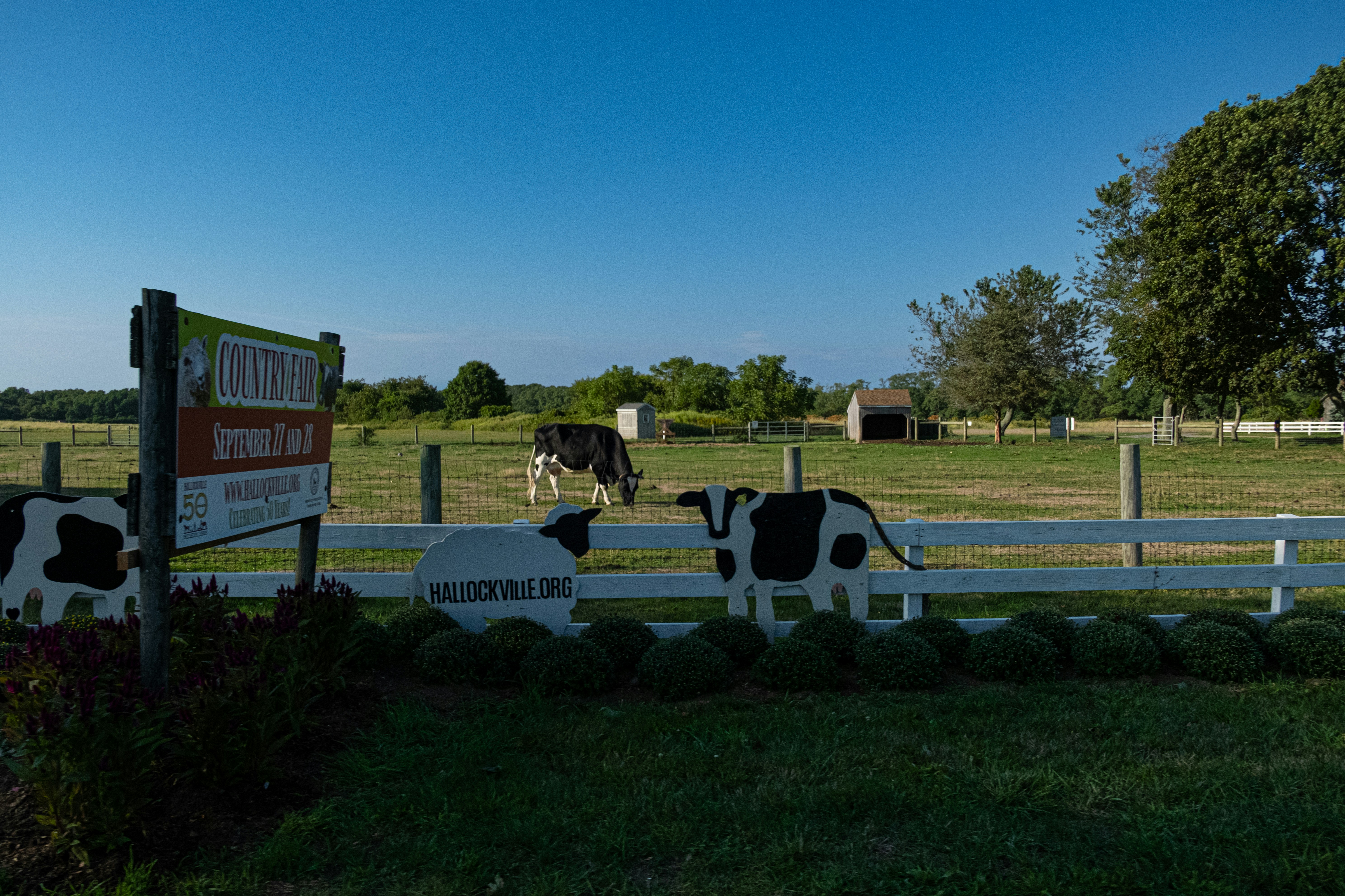 Артизанский сыр