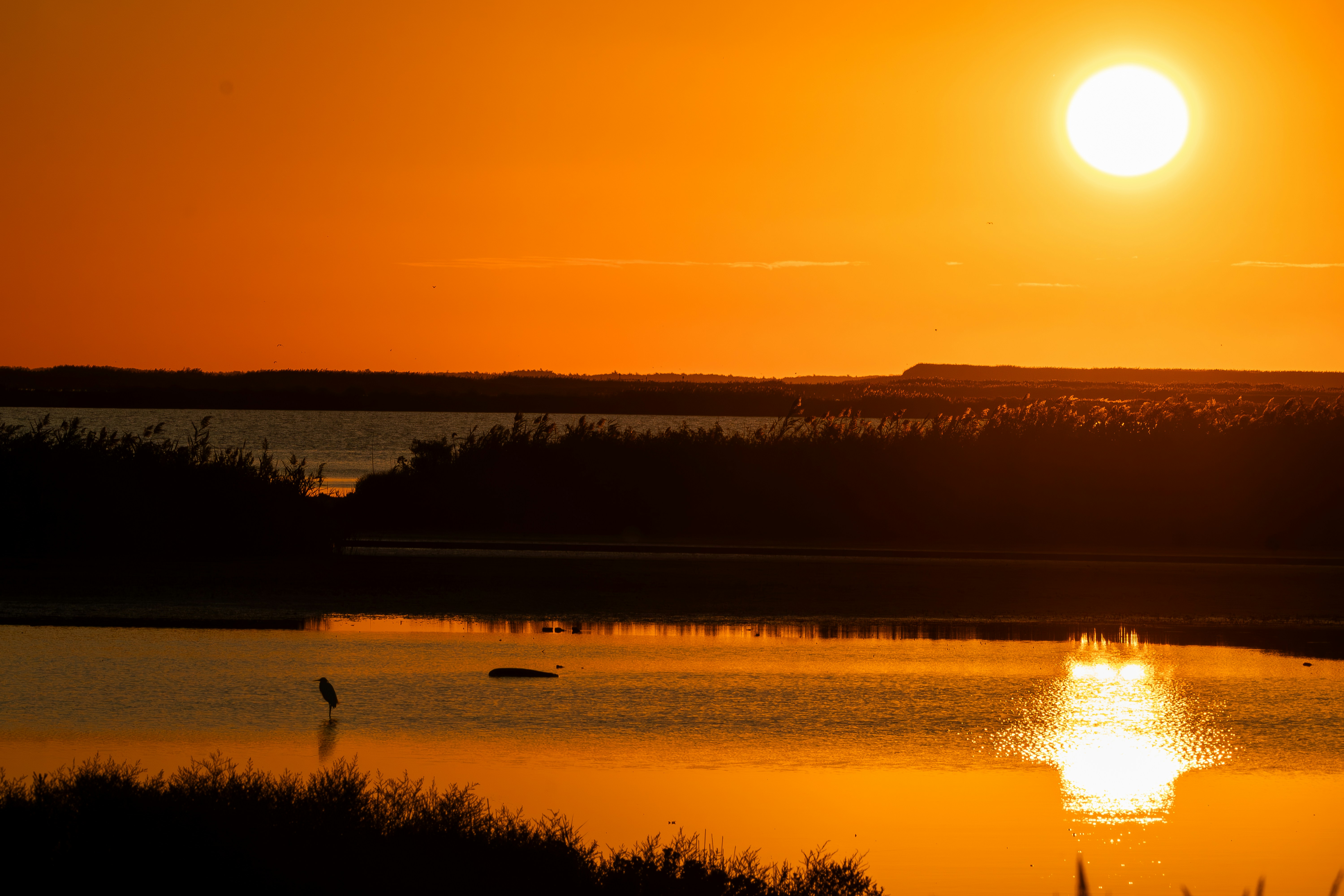 Photo by ucwhphotography