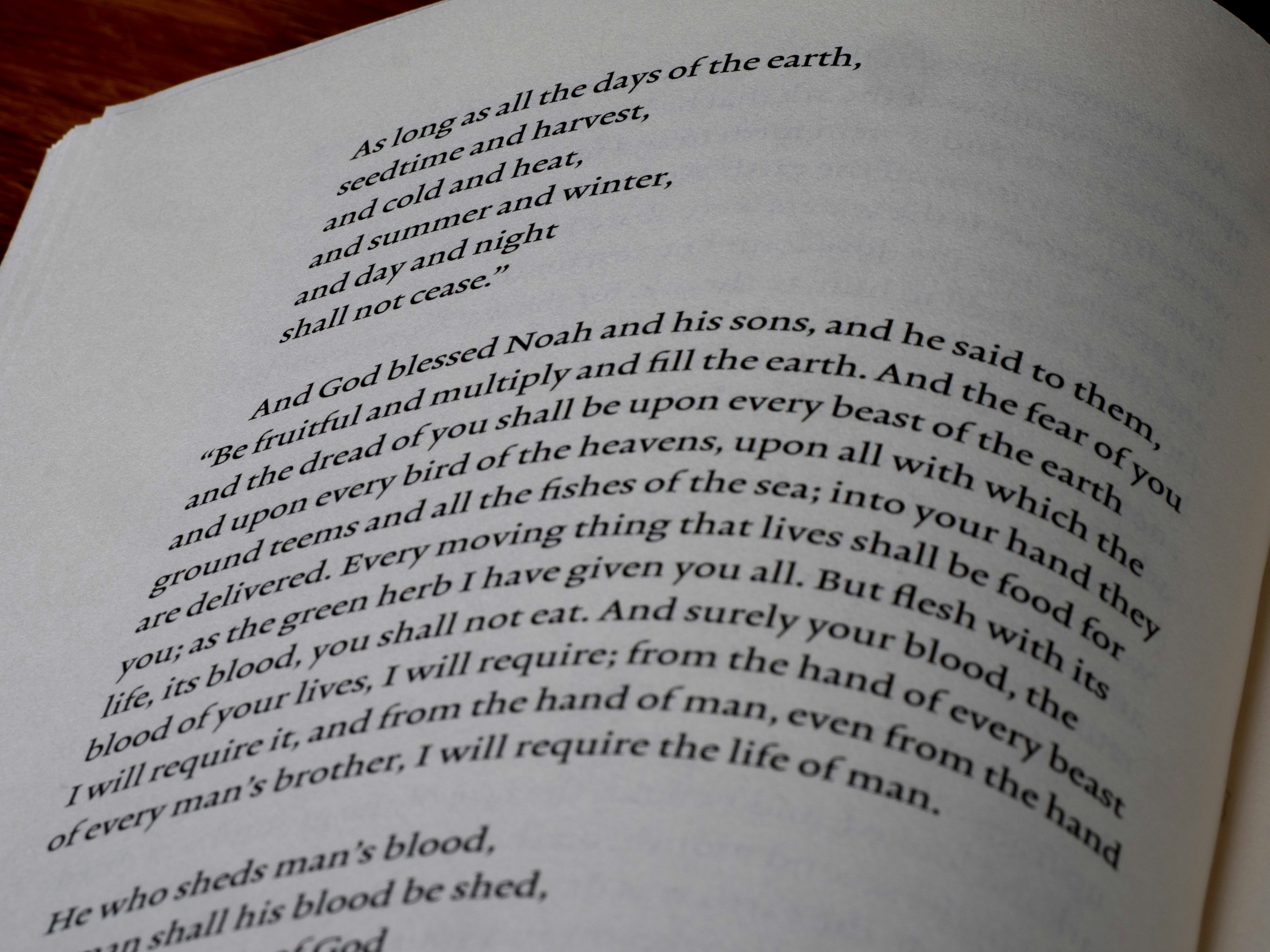 Photo by brett_jordan