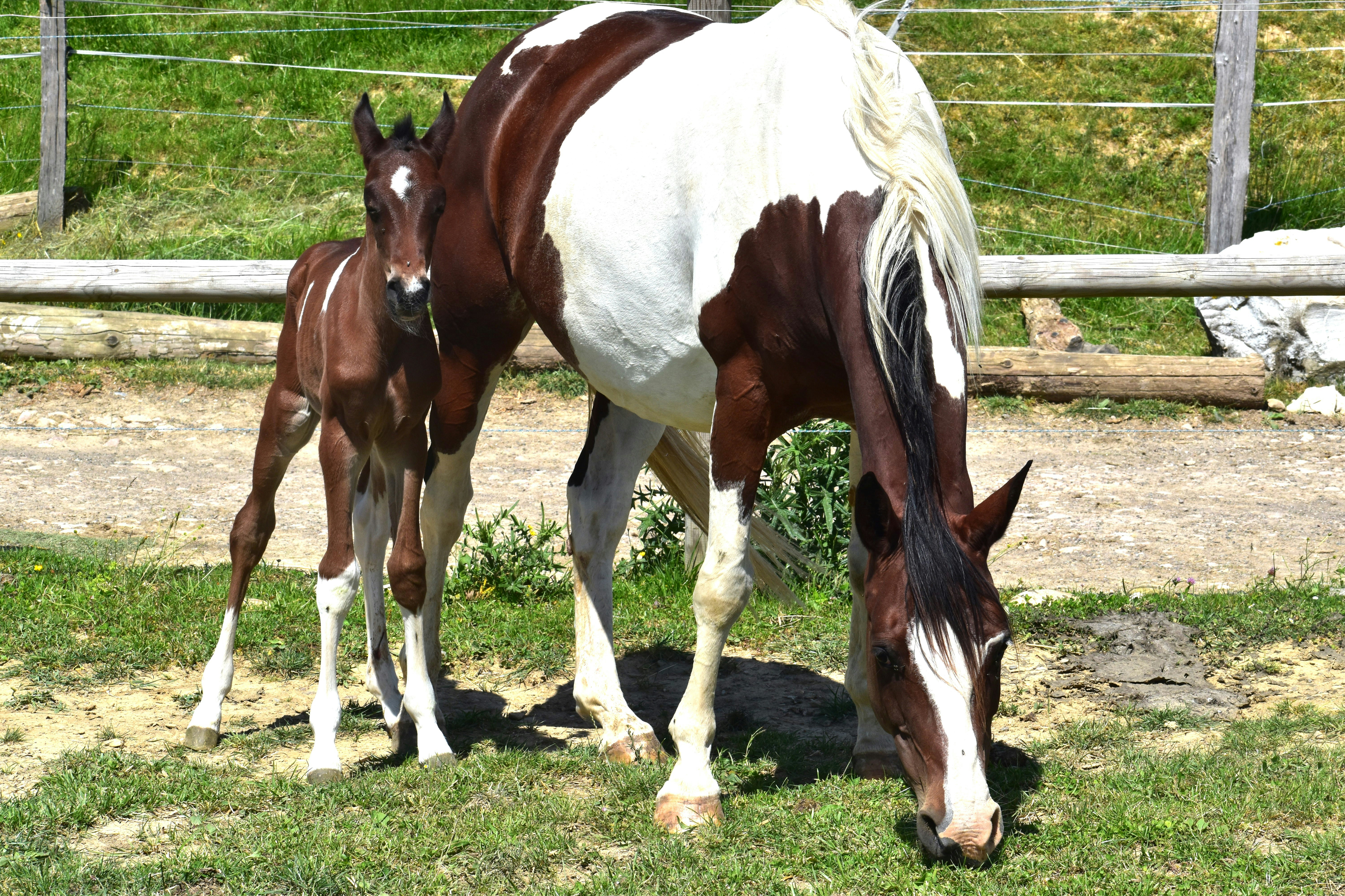 Photo by danielelarosa