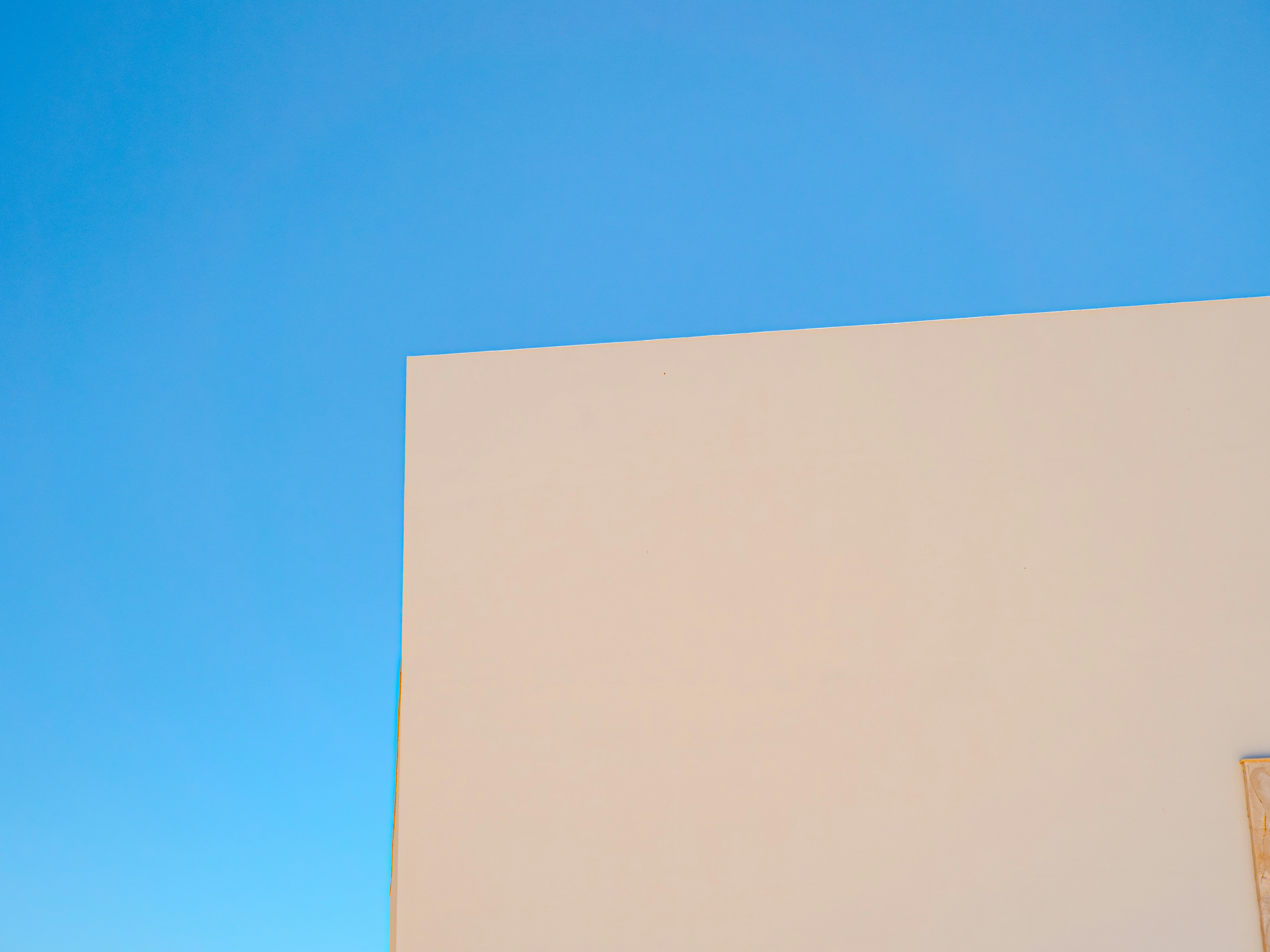 Photo by sschusterphotoart