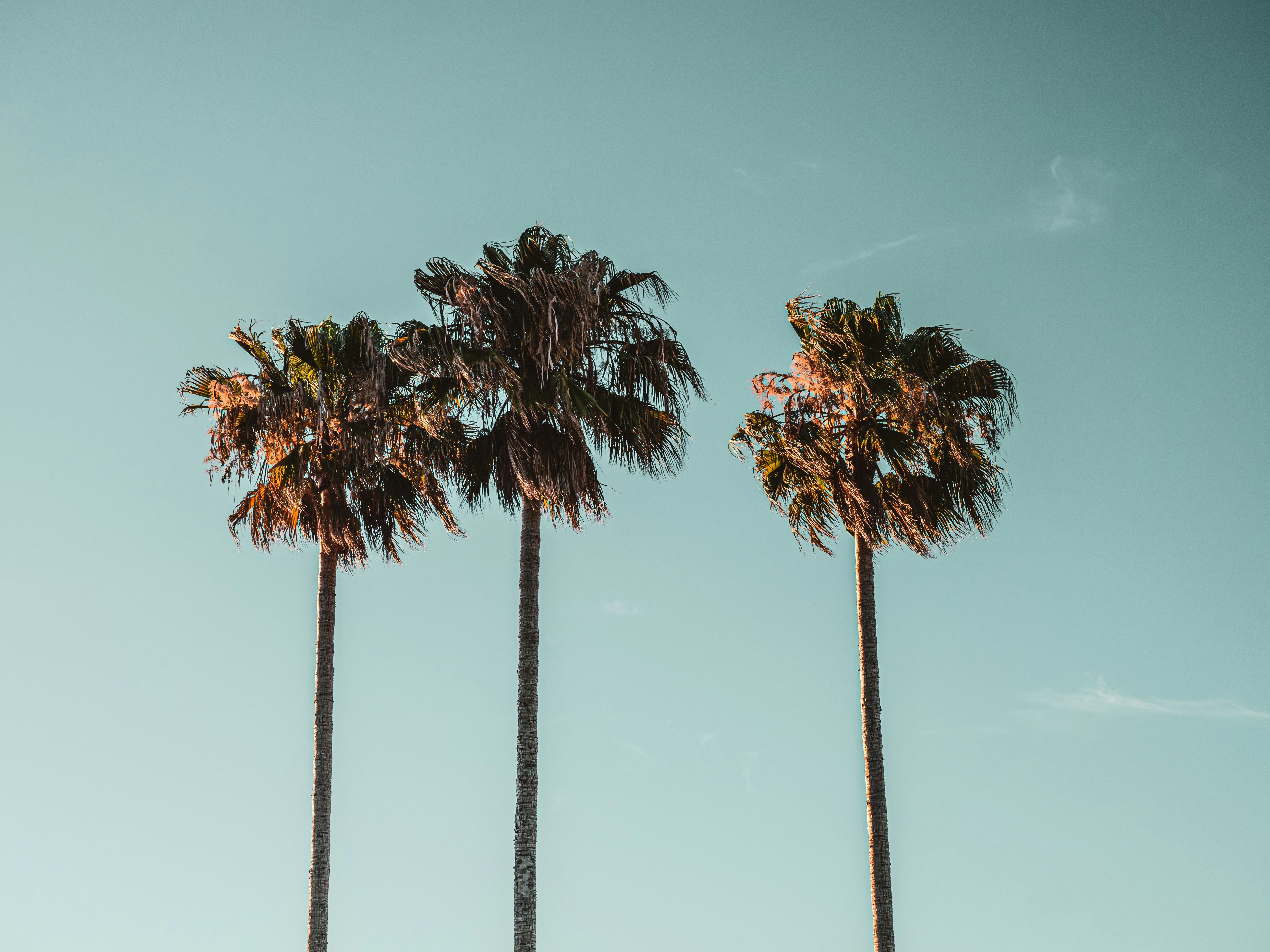 Photo by sschusterphotoart