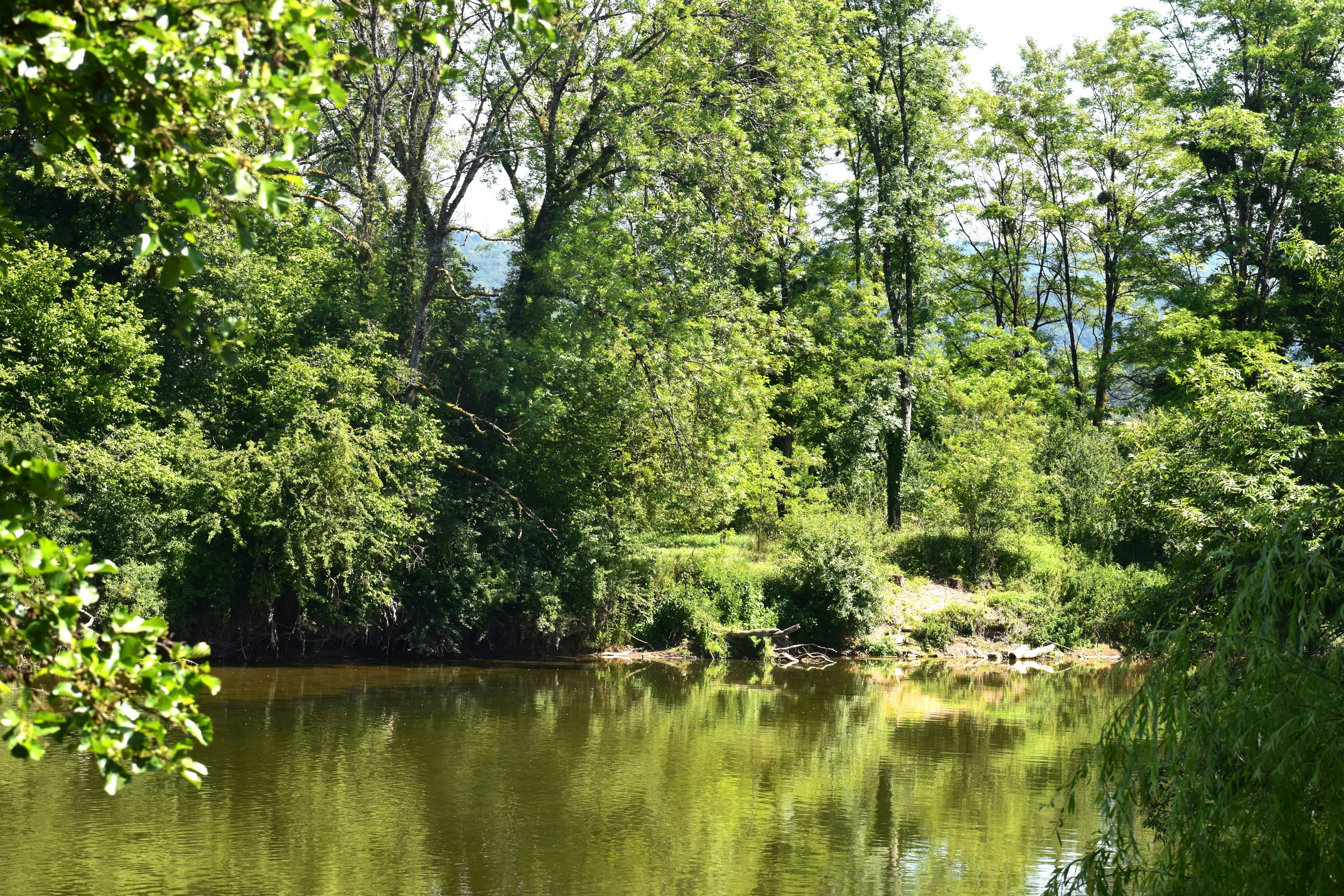 Photo by danielelarosa