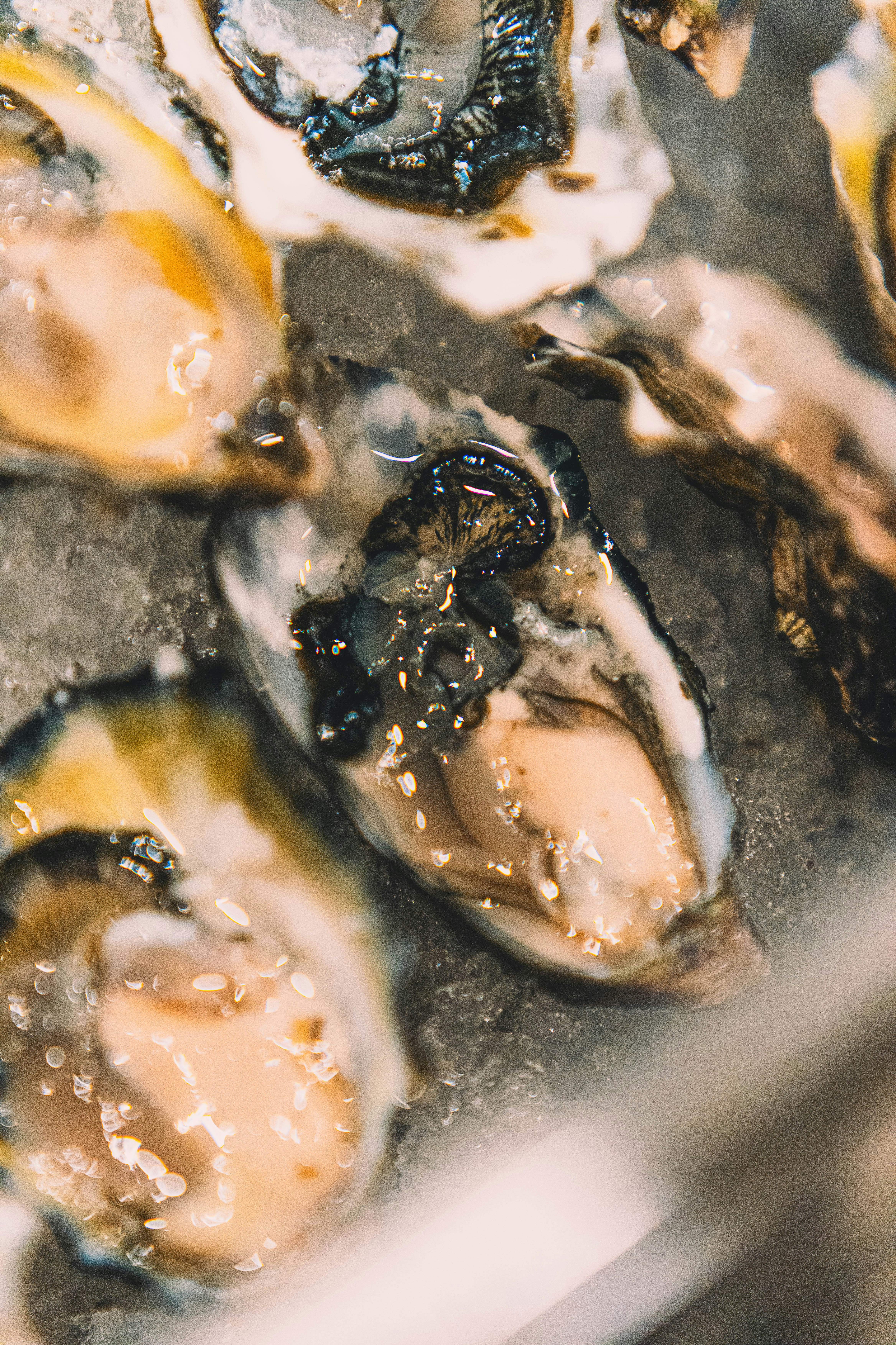 Photo by madeline_sd