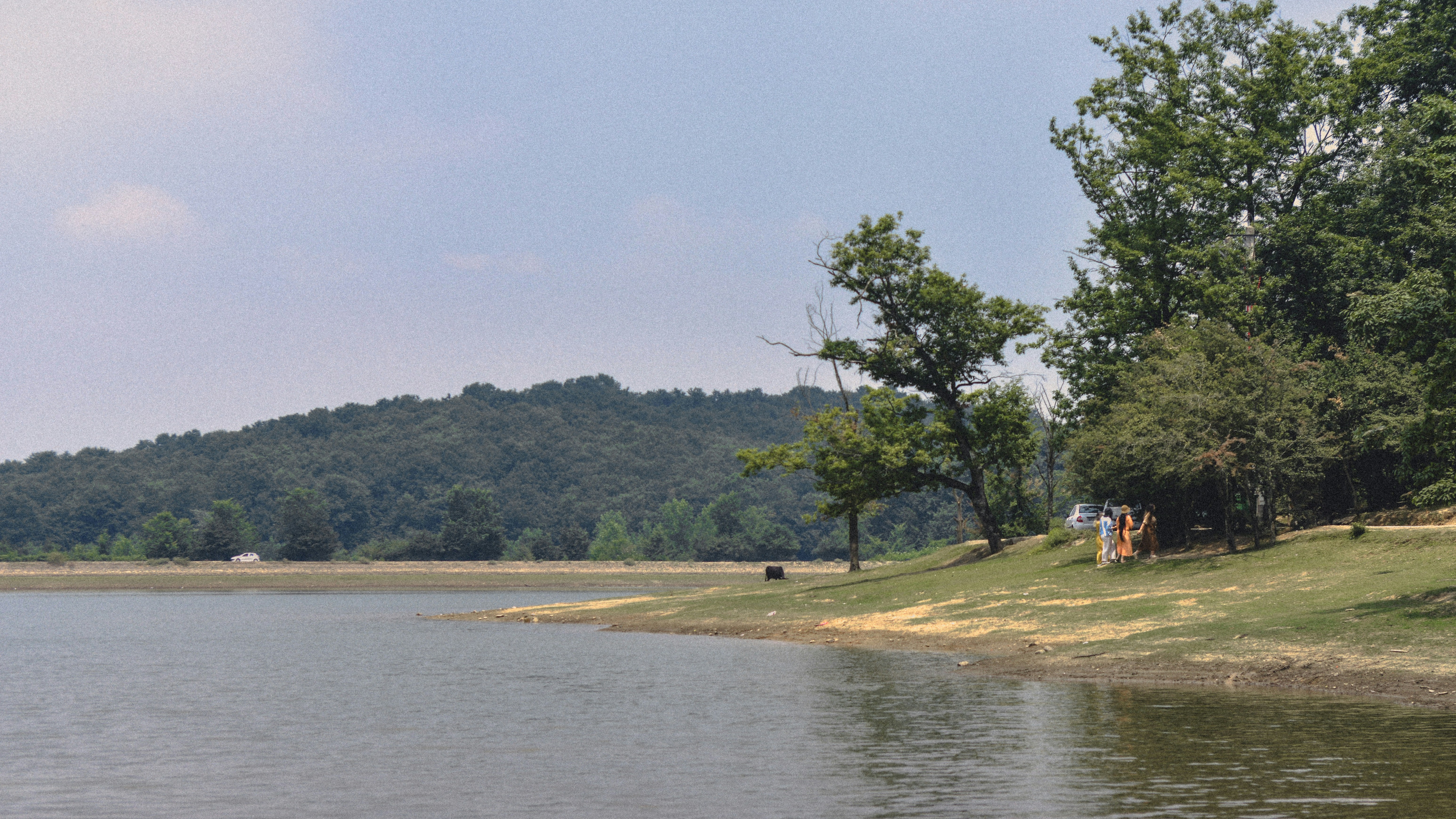 Iatt Lake Recration Area