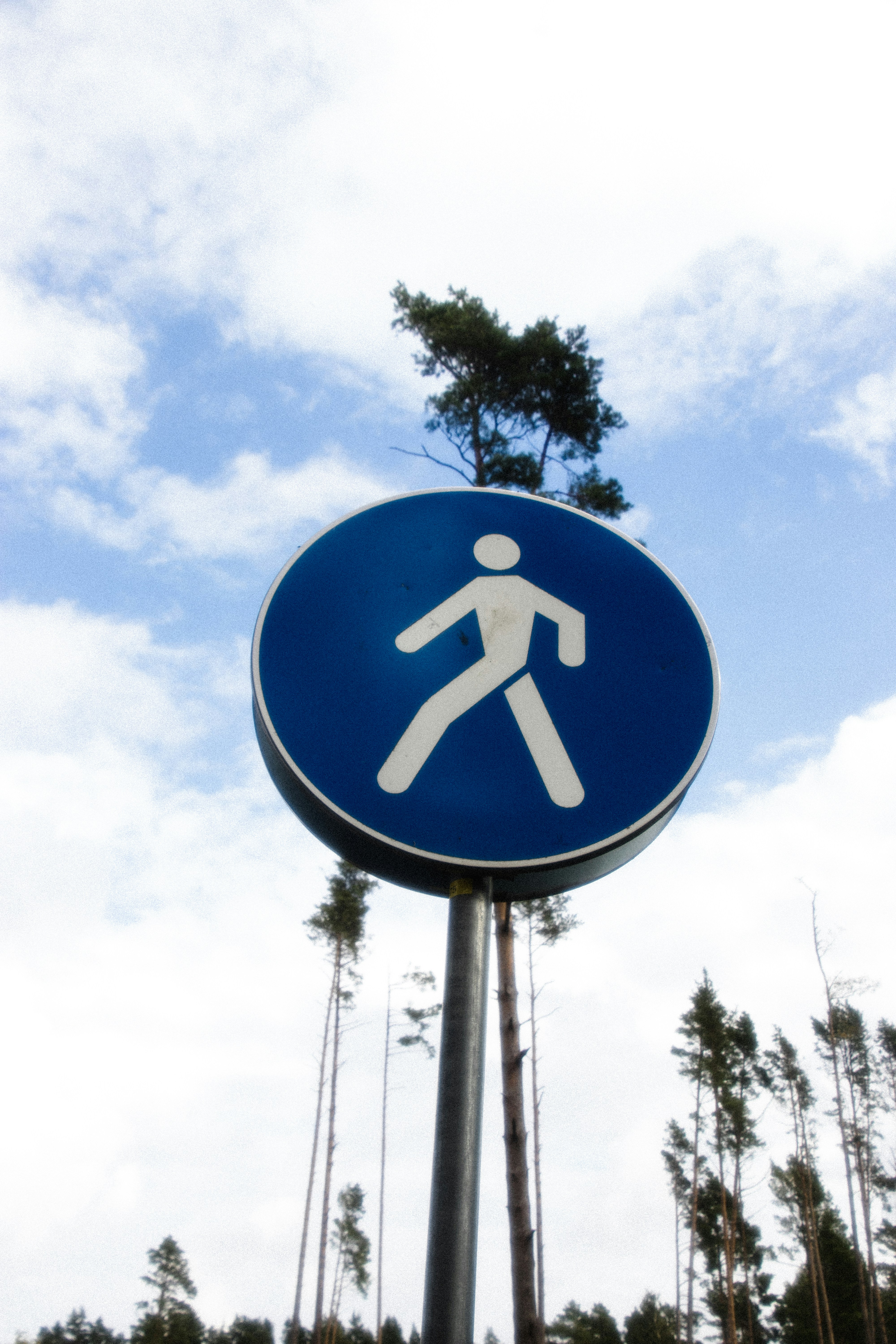 Photo by reinisbruzitis