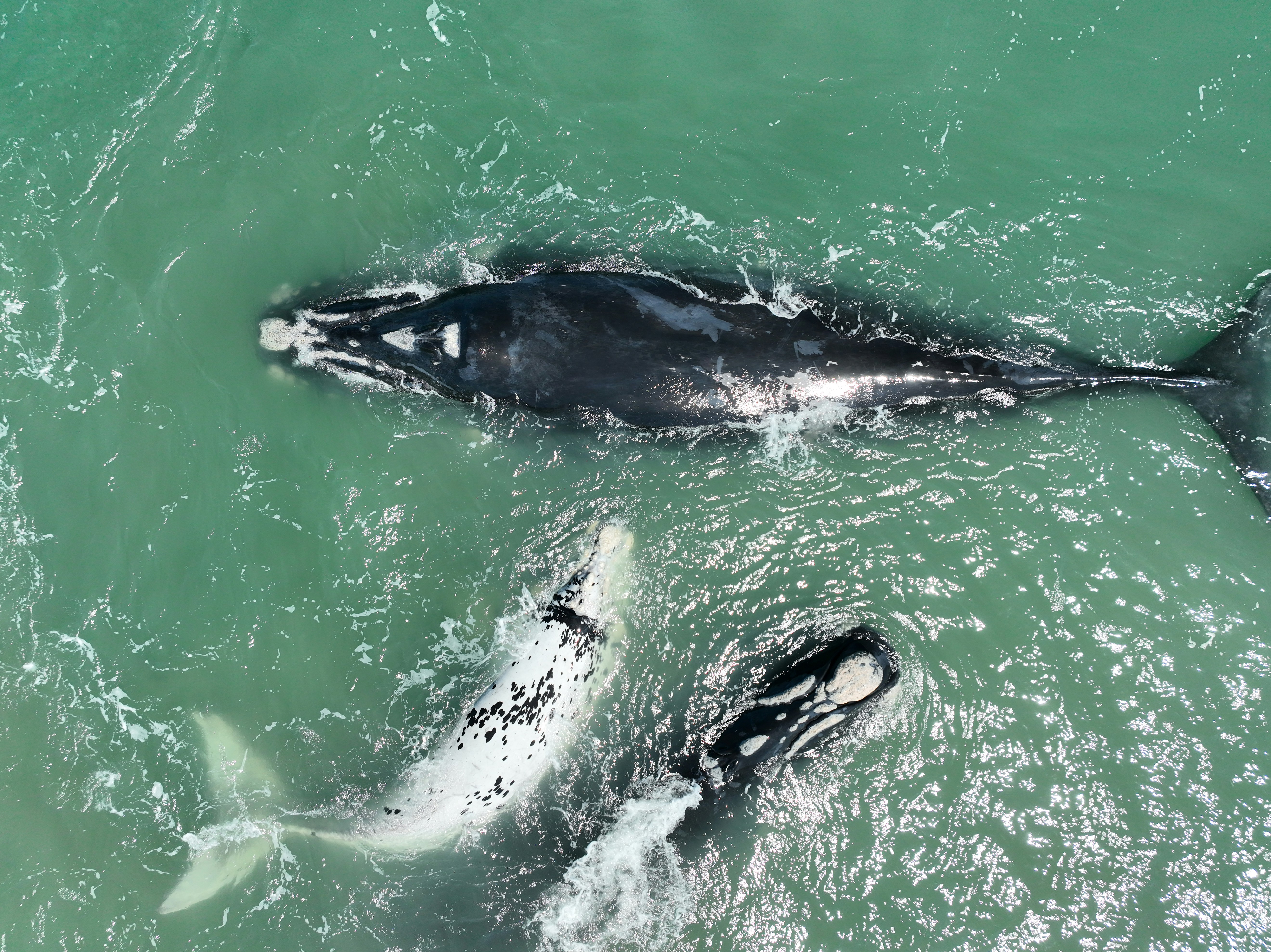 Photo by wolfgangrichardunger