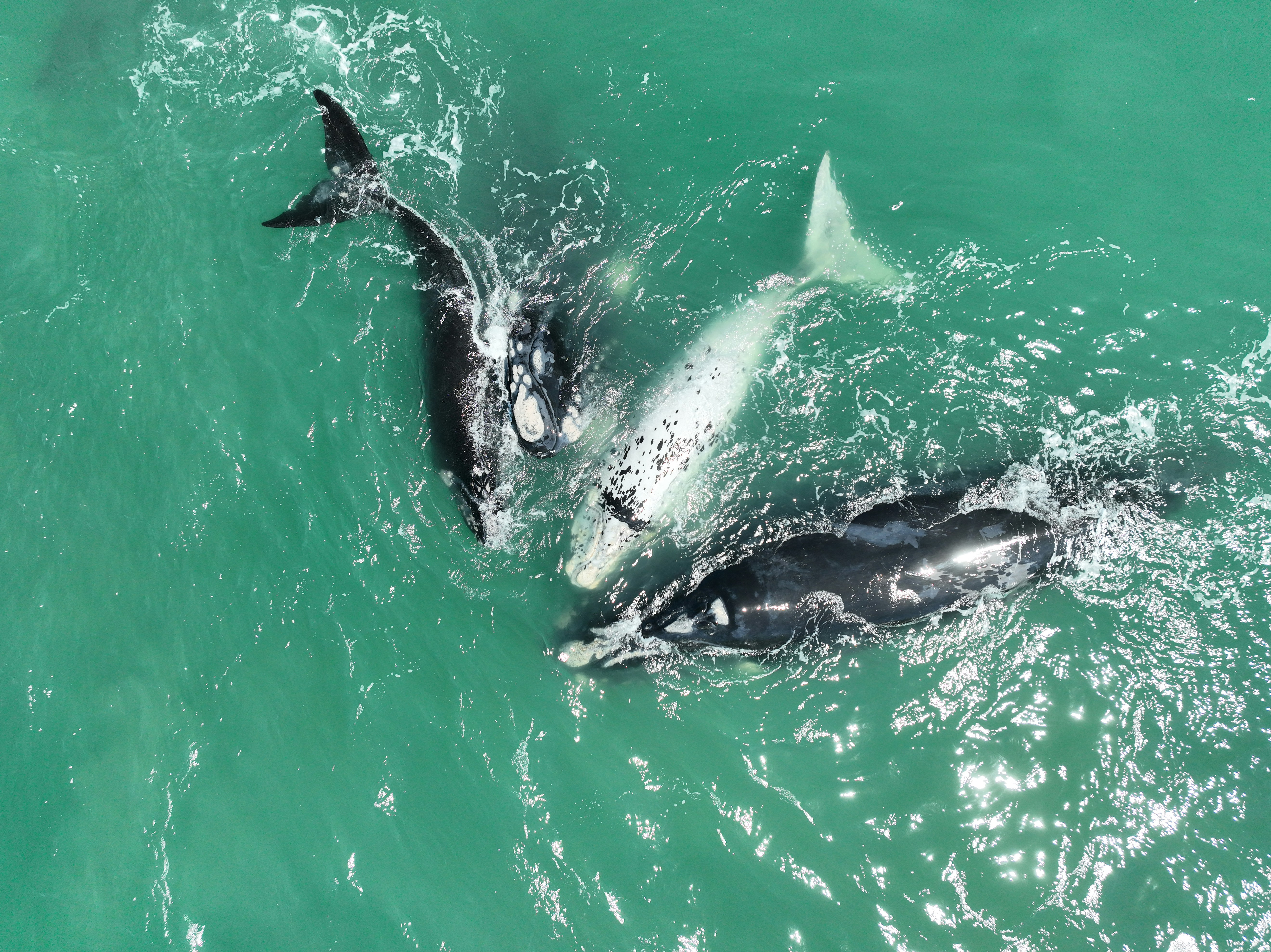 Photo by wolfgangrichardunger