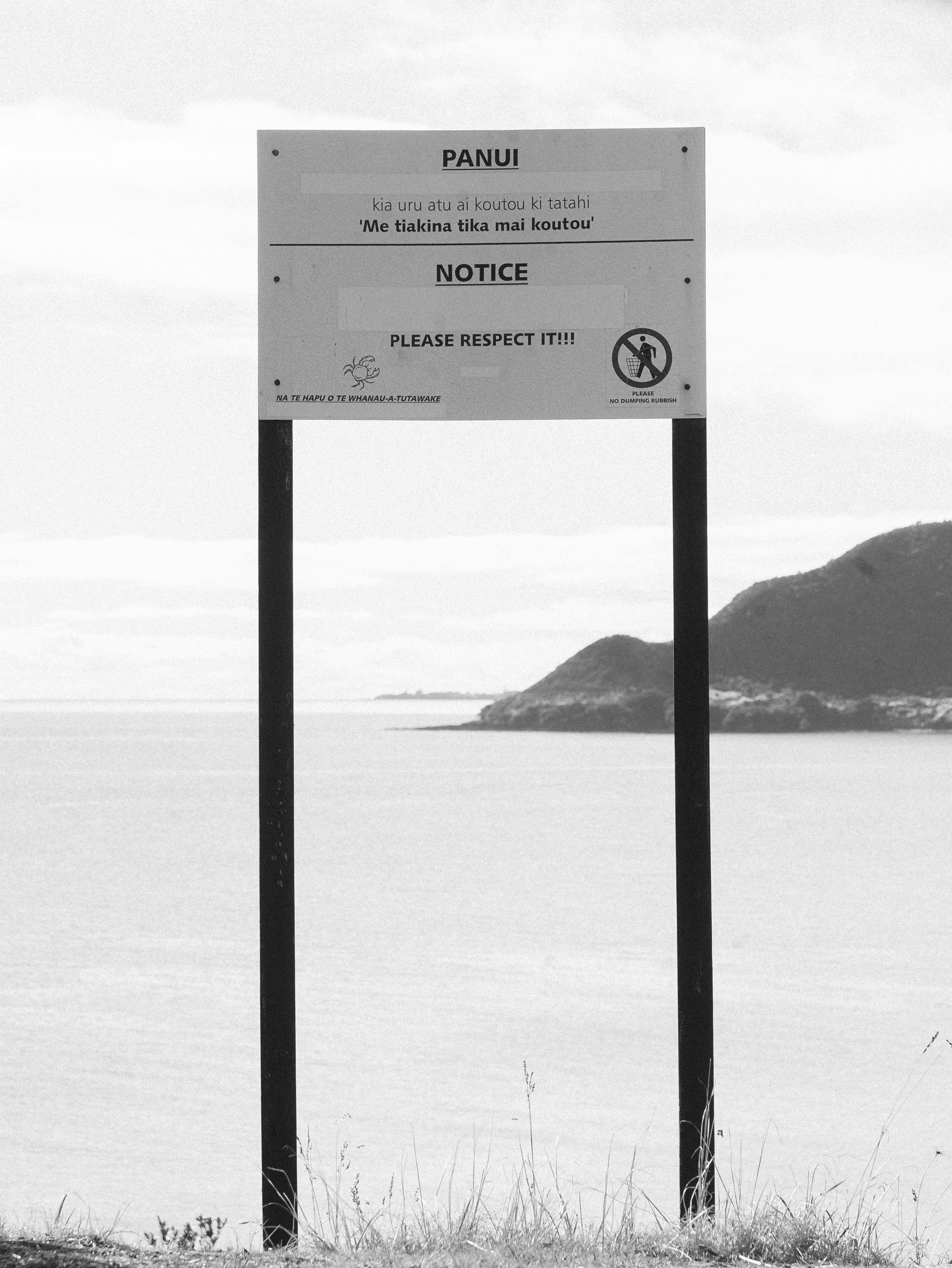 텍스트와 섬 배경이 있는 바다 옆 표지판을 주목하세요.