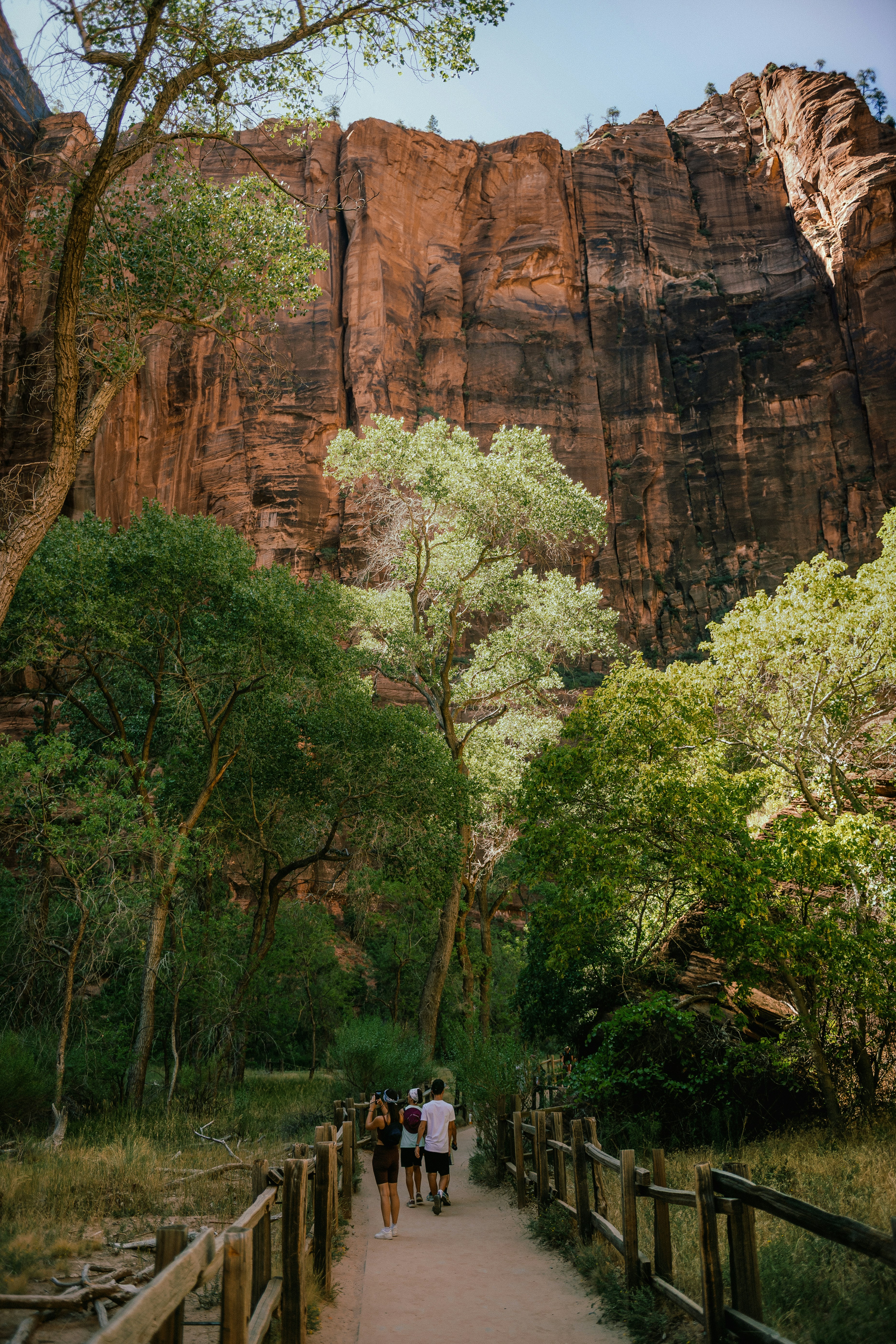 People walk on a path through a canyon with trees.