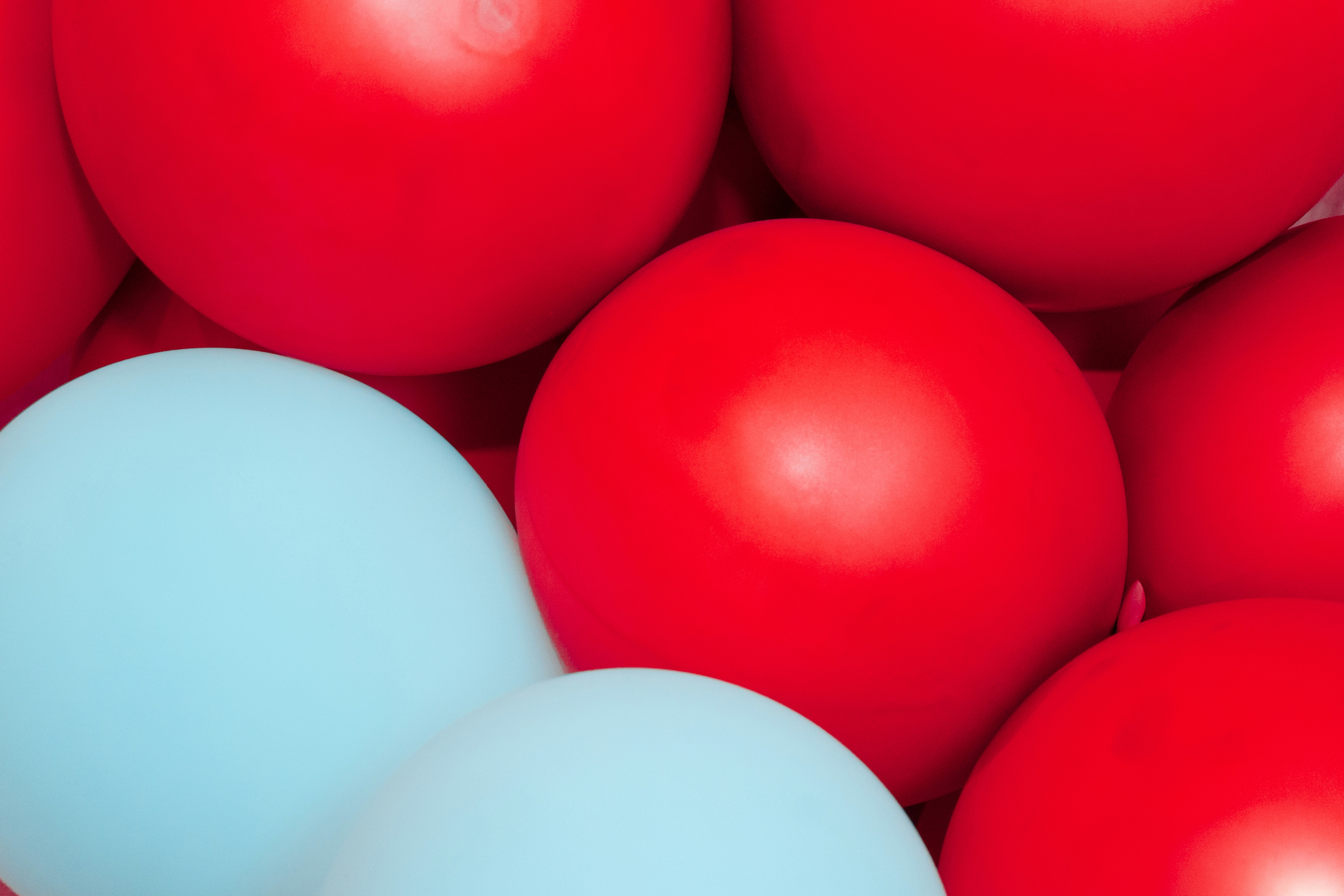 Photo by miguelphoto