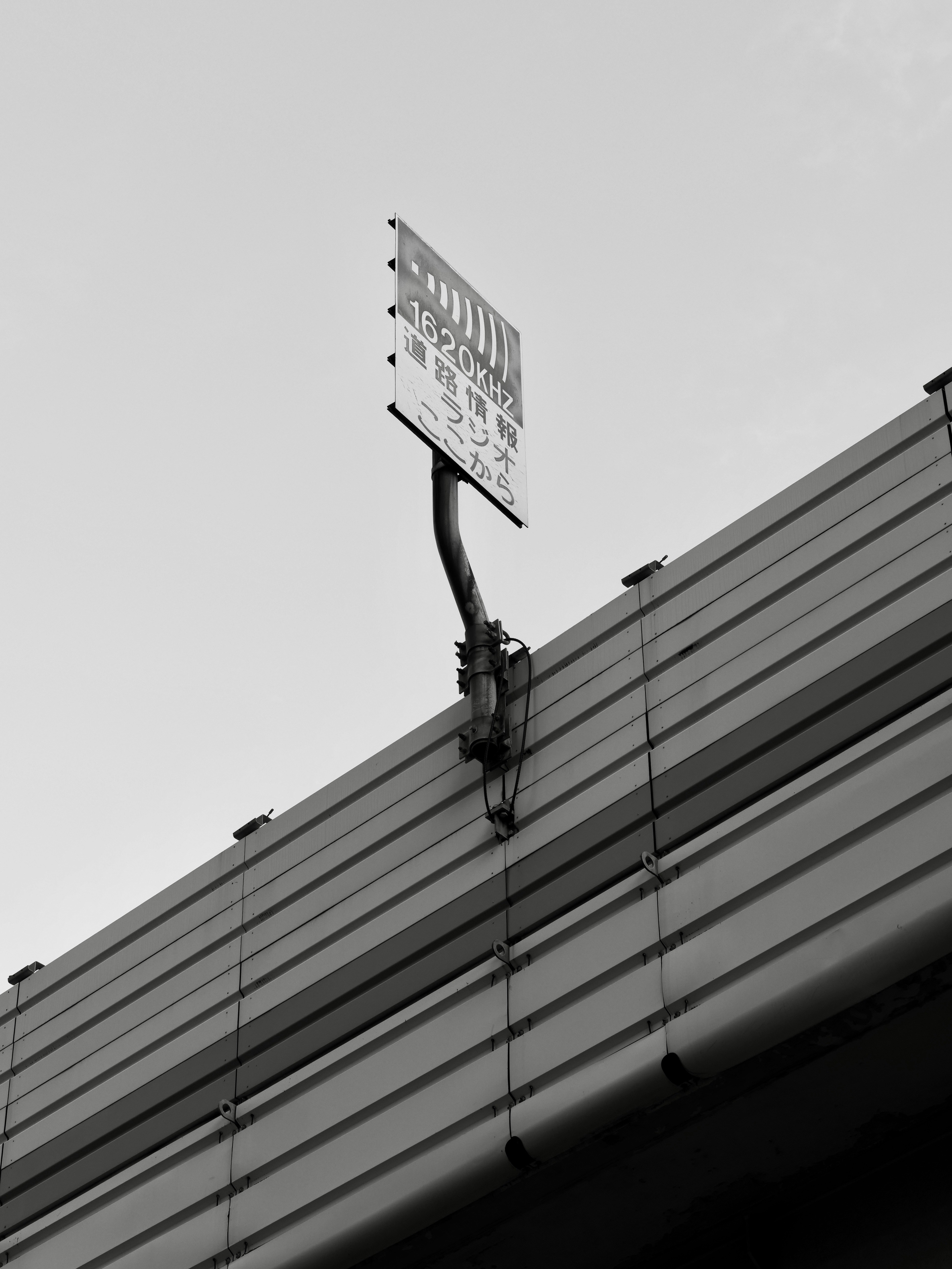 Photo by sschusterphotoart