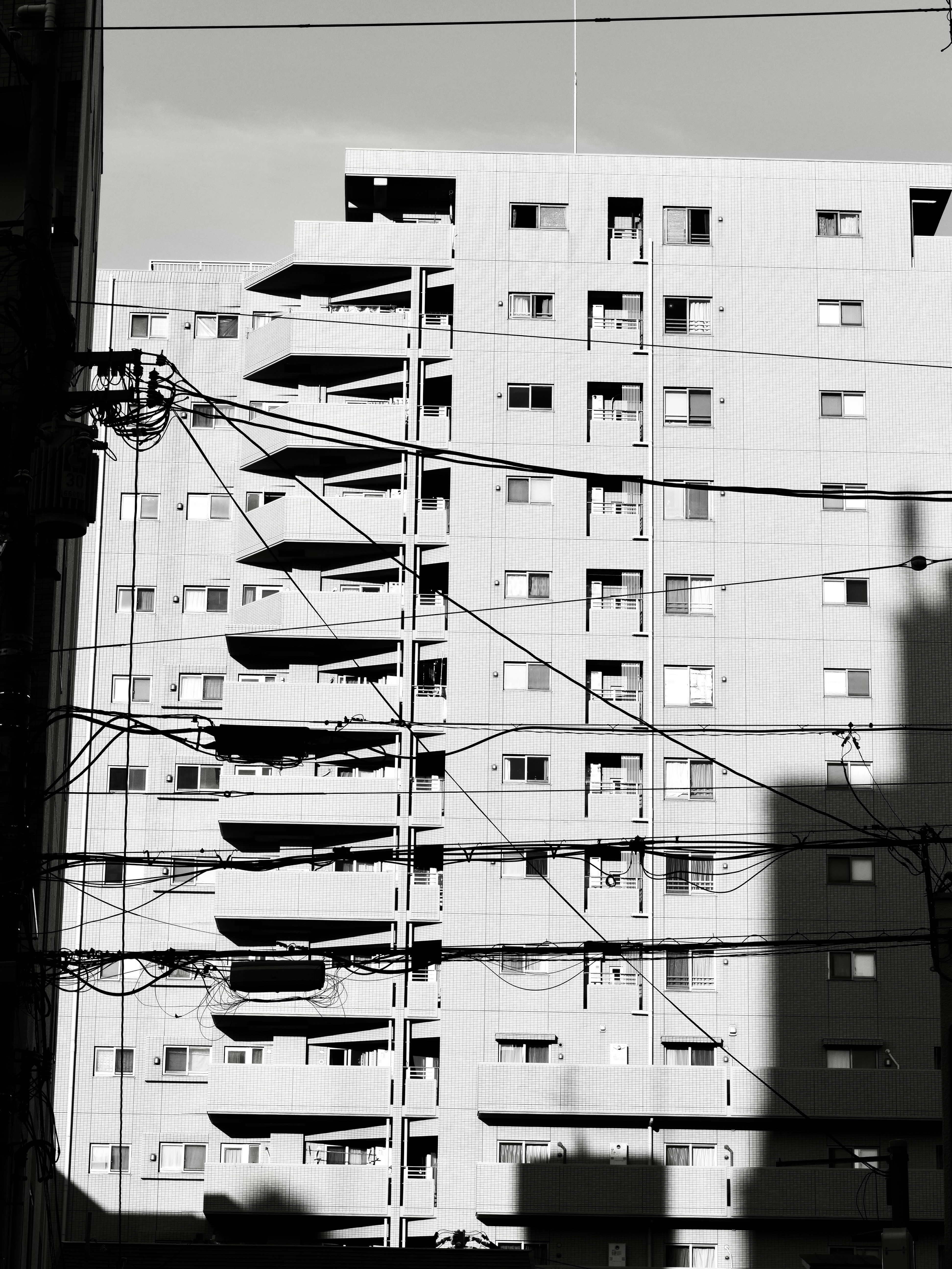 Photo by sschusterphotoart