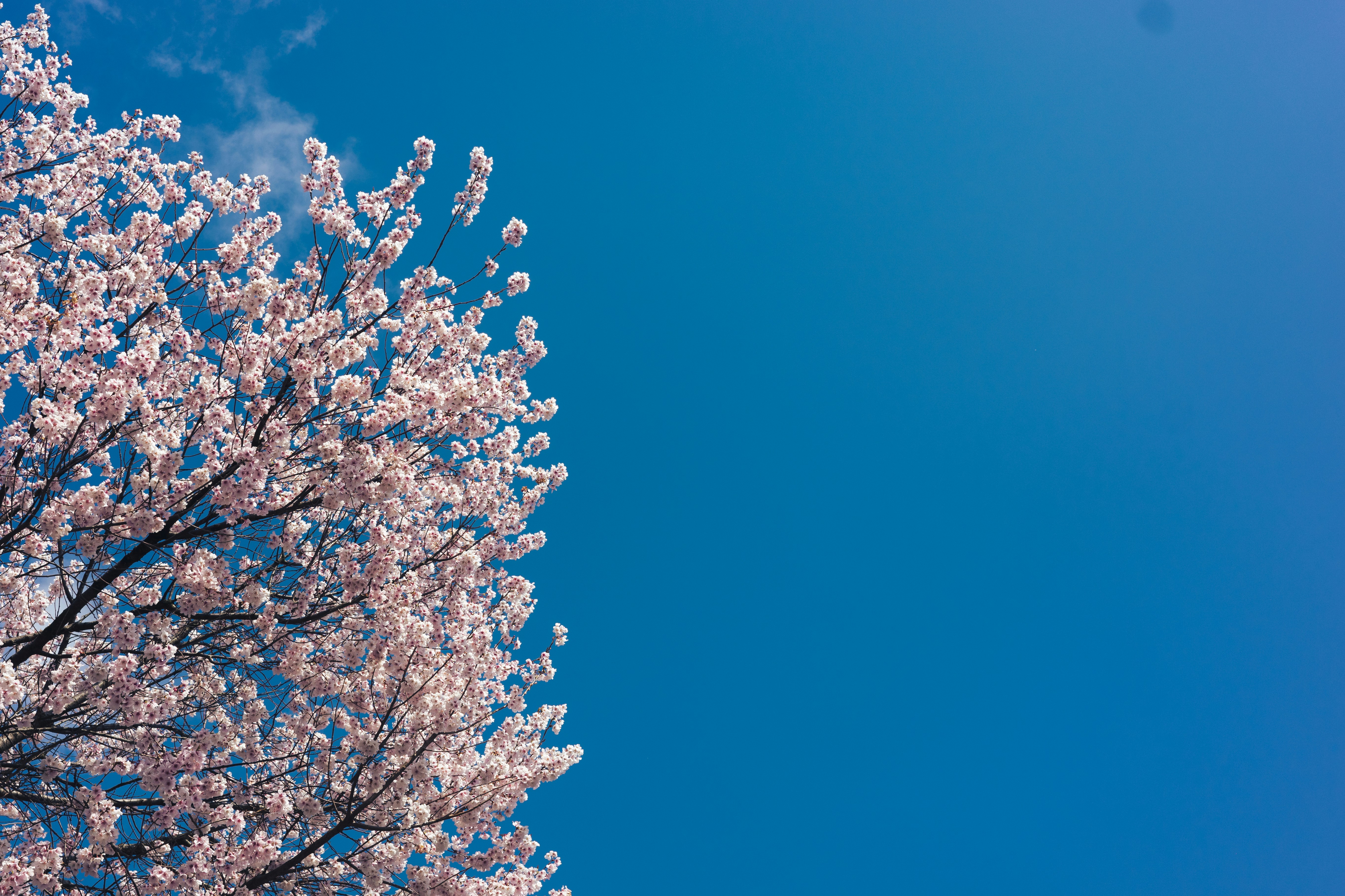 Photo by mirrors_are_more_fun