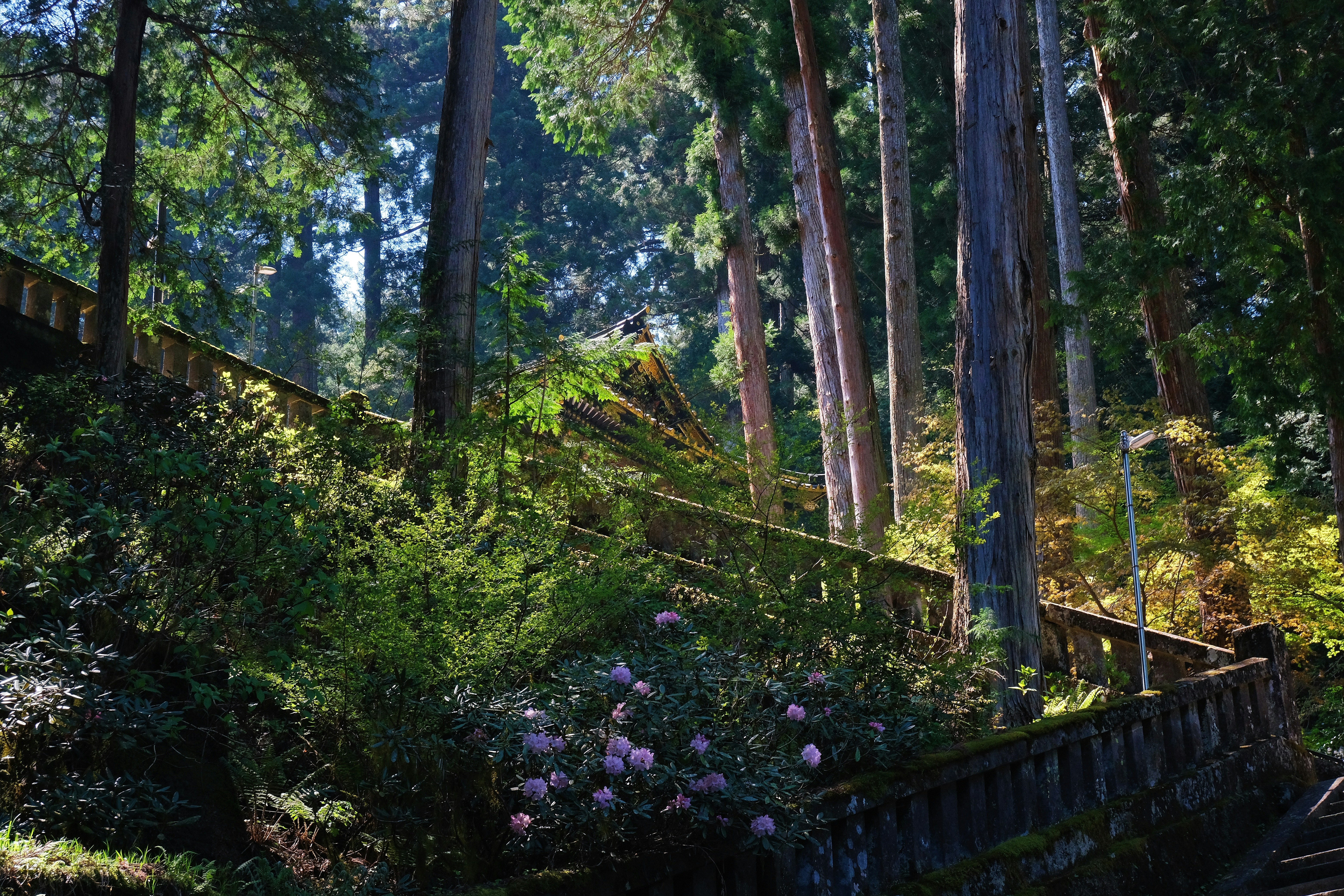 Trip to Nikko, Japan. Spring 2025