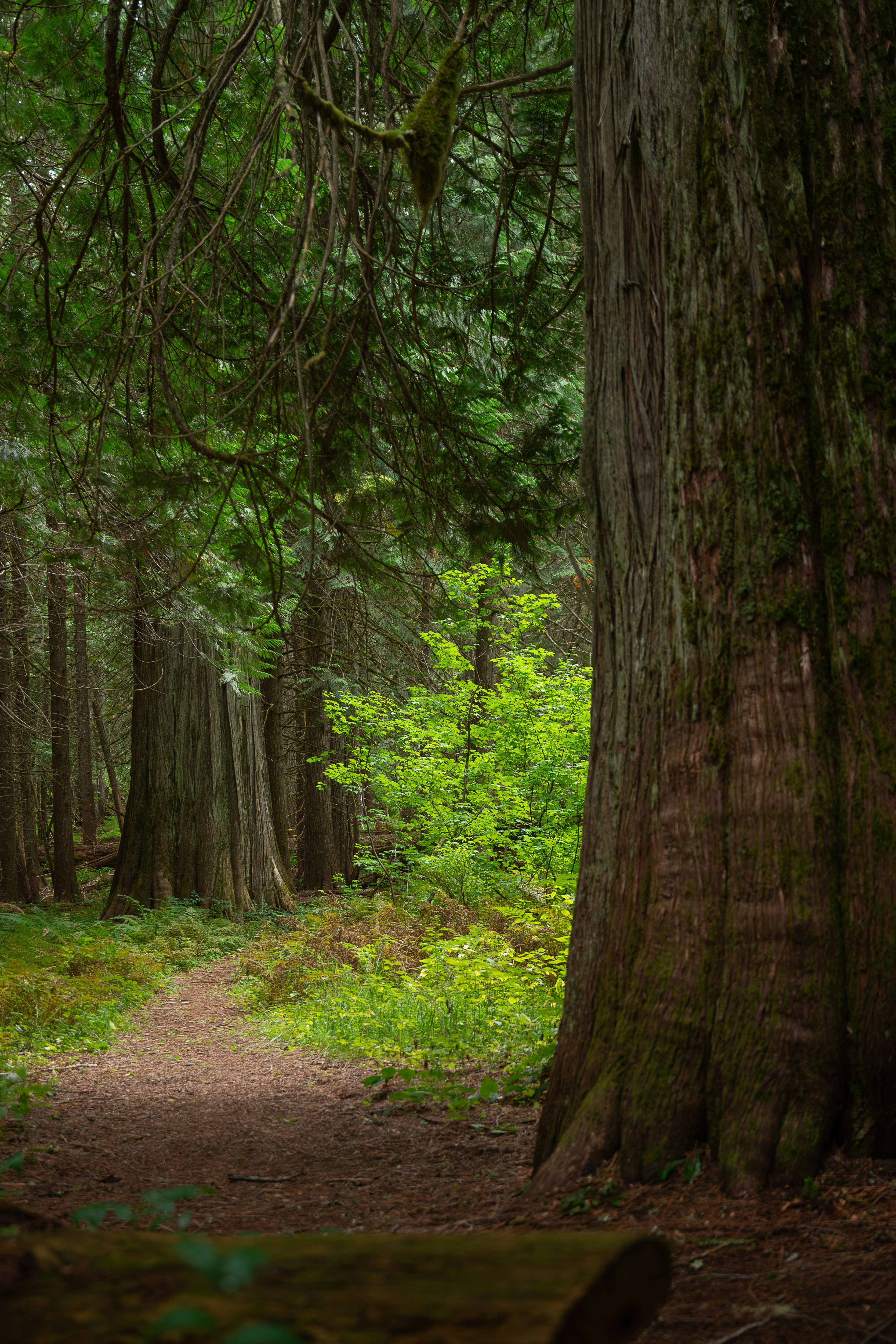 Photo by claytonschase