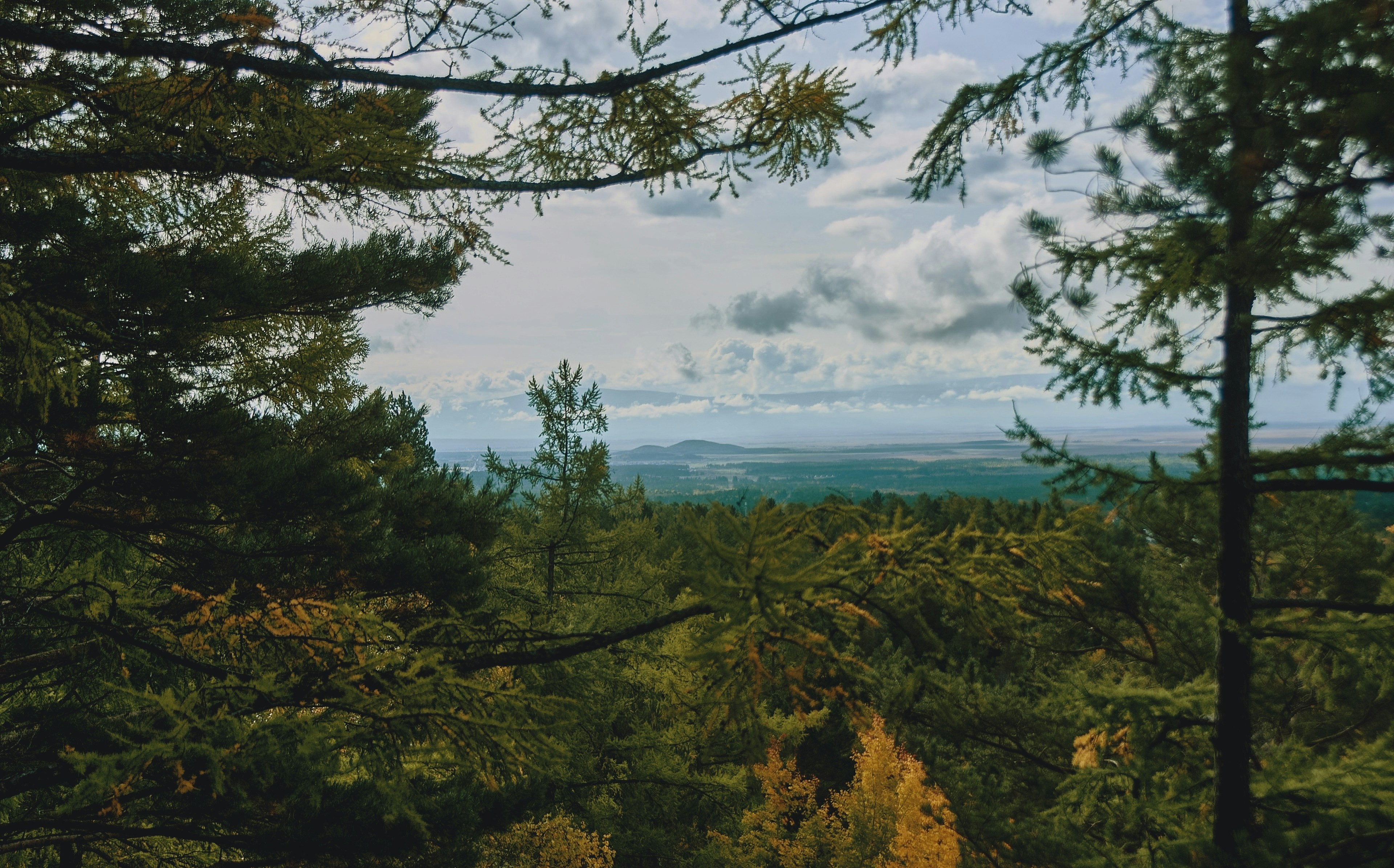 Photo by kirill_photographer