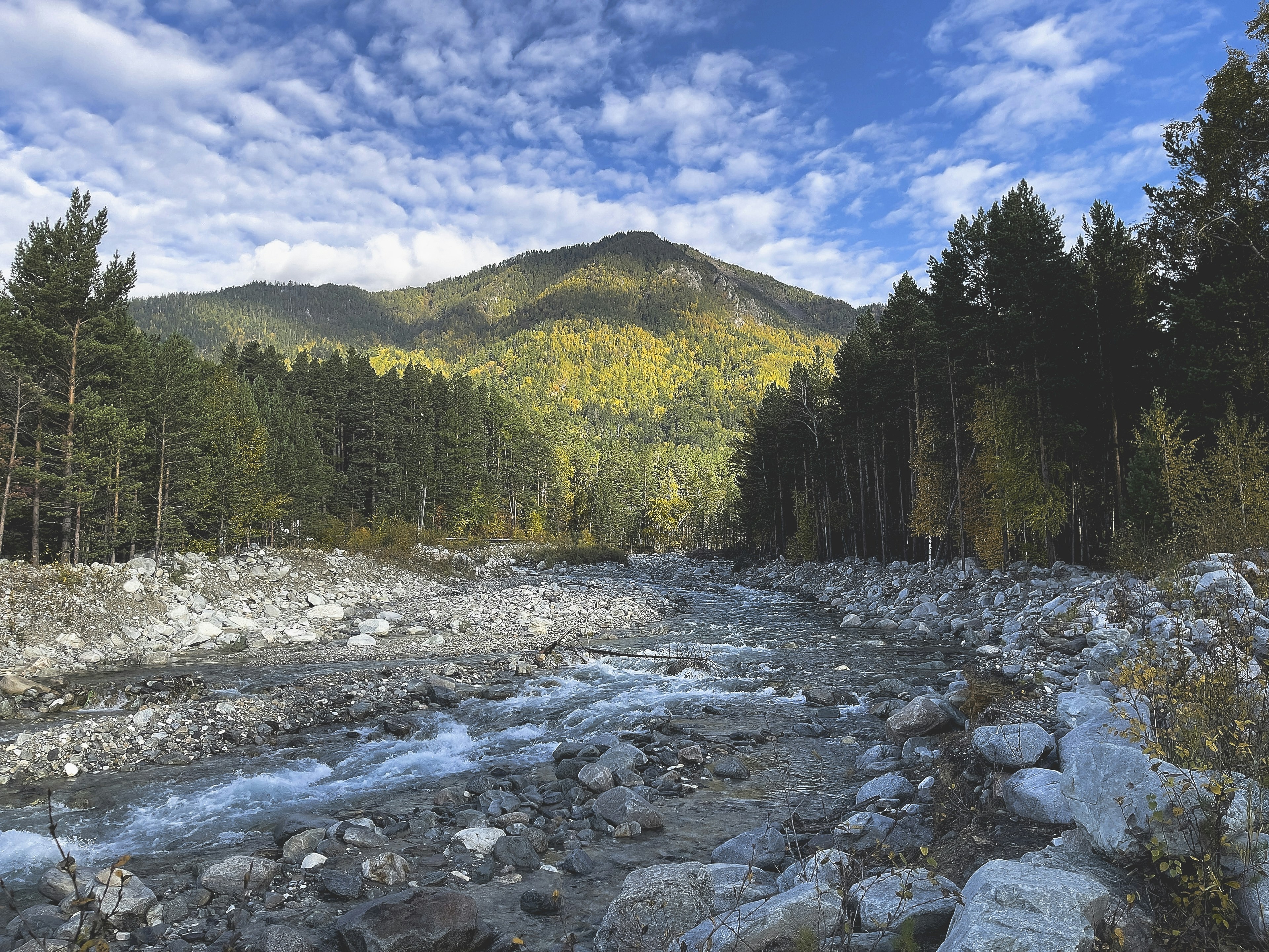 Photo by kirill_photographer