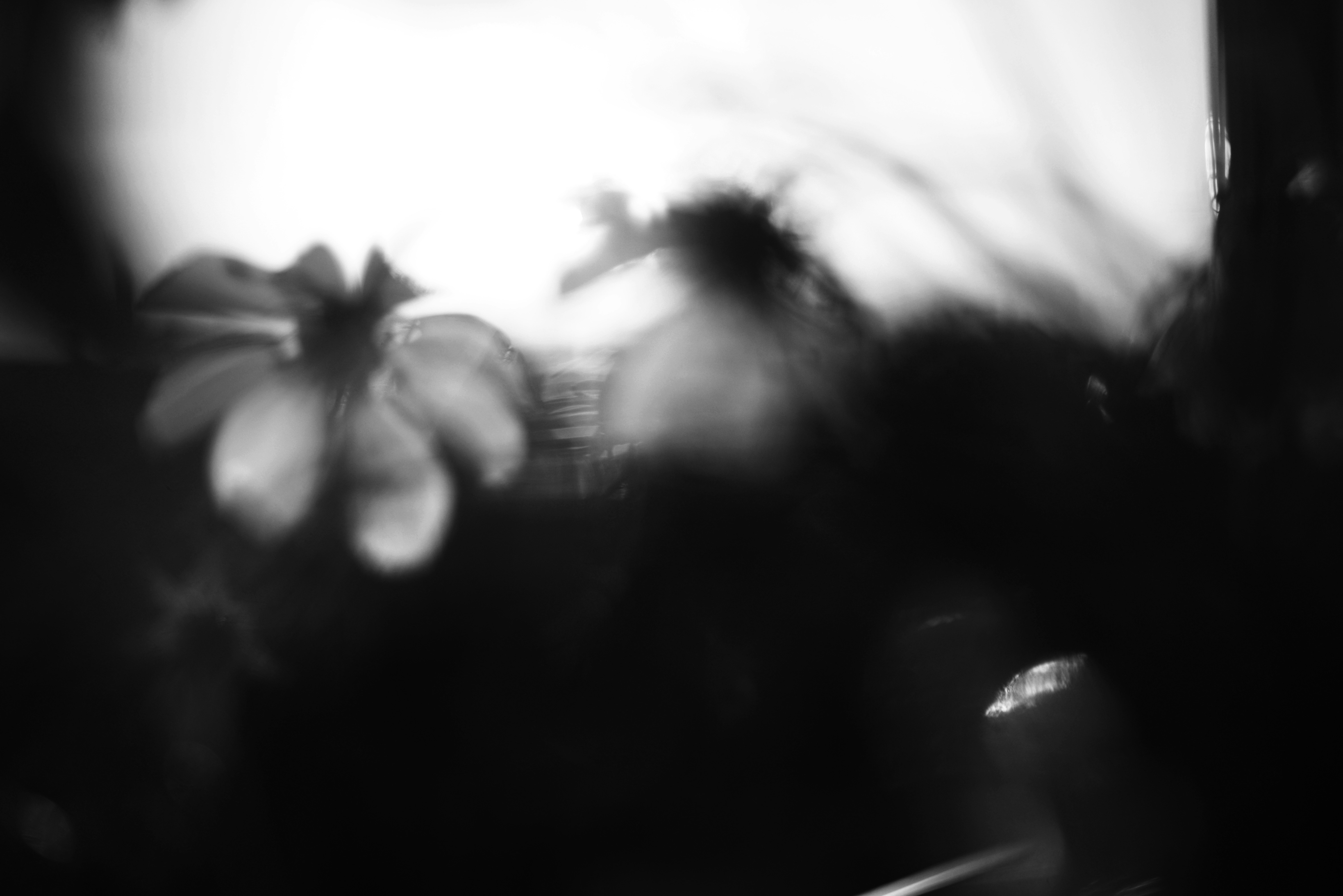 Photo by cherstve_pechivo