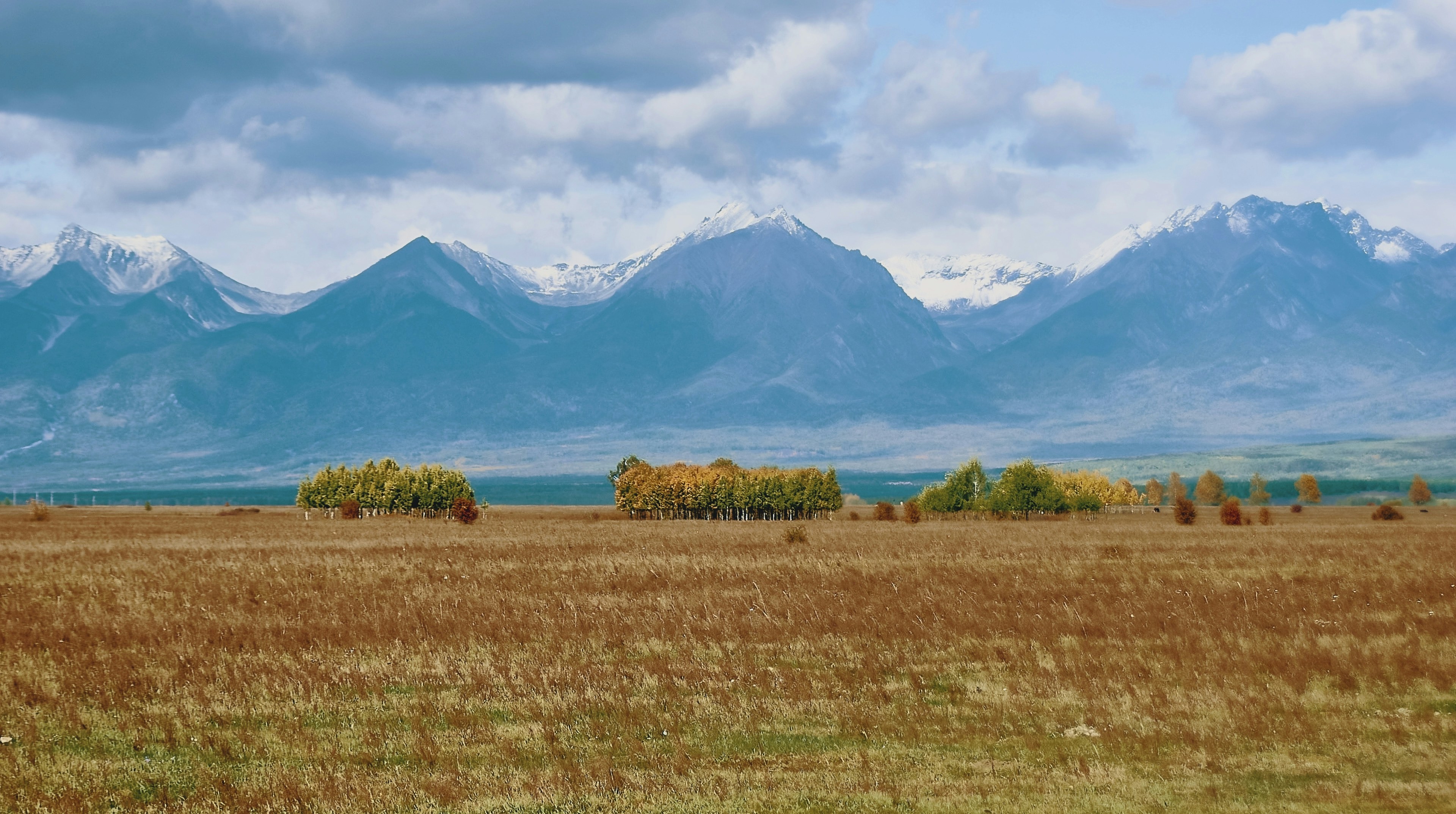 Brown field with trees and snow-capped mountains