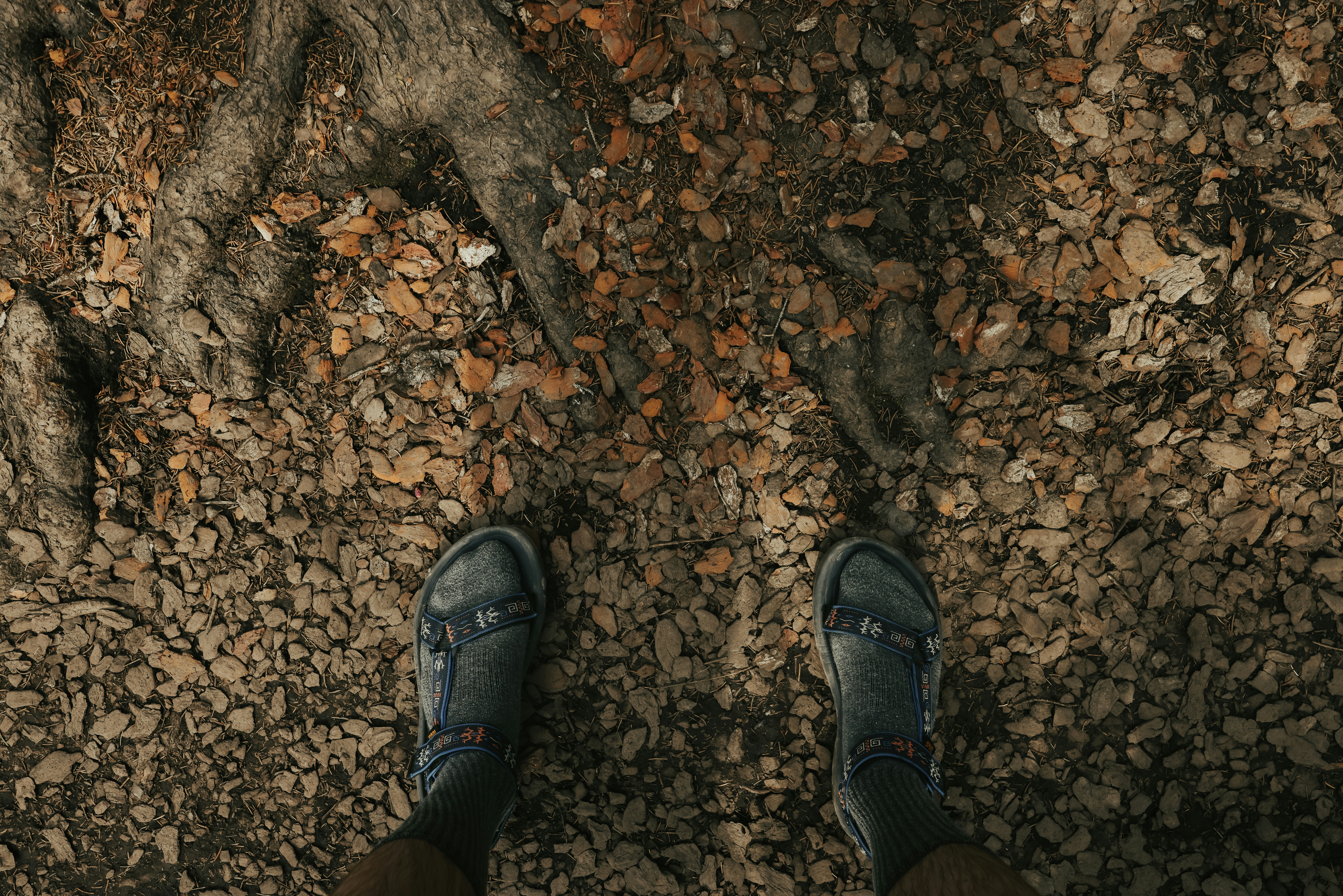 Photo by trail_mix_mike