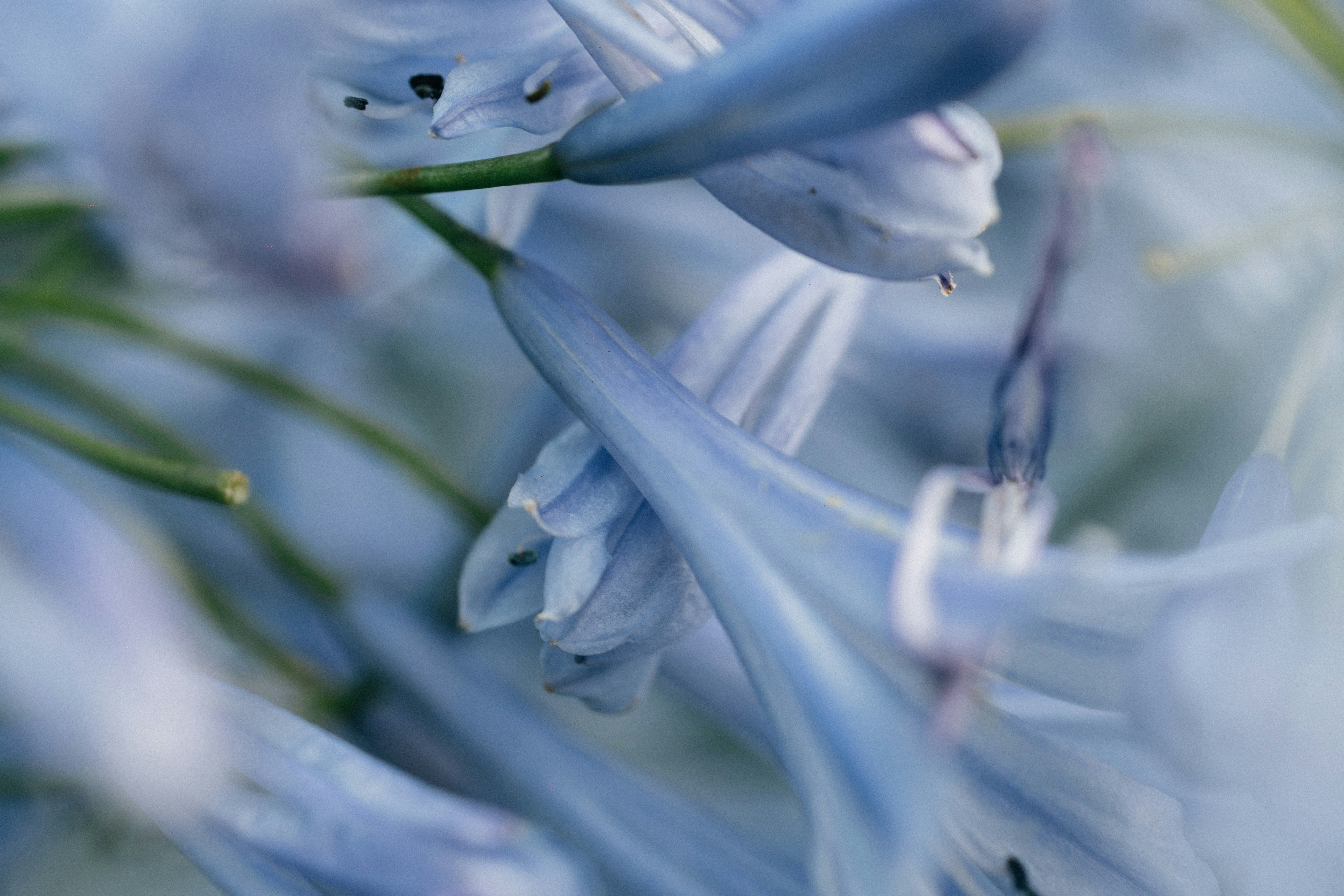 Photo by tsuyoshikozu