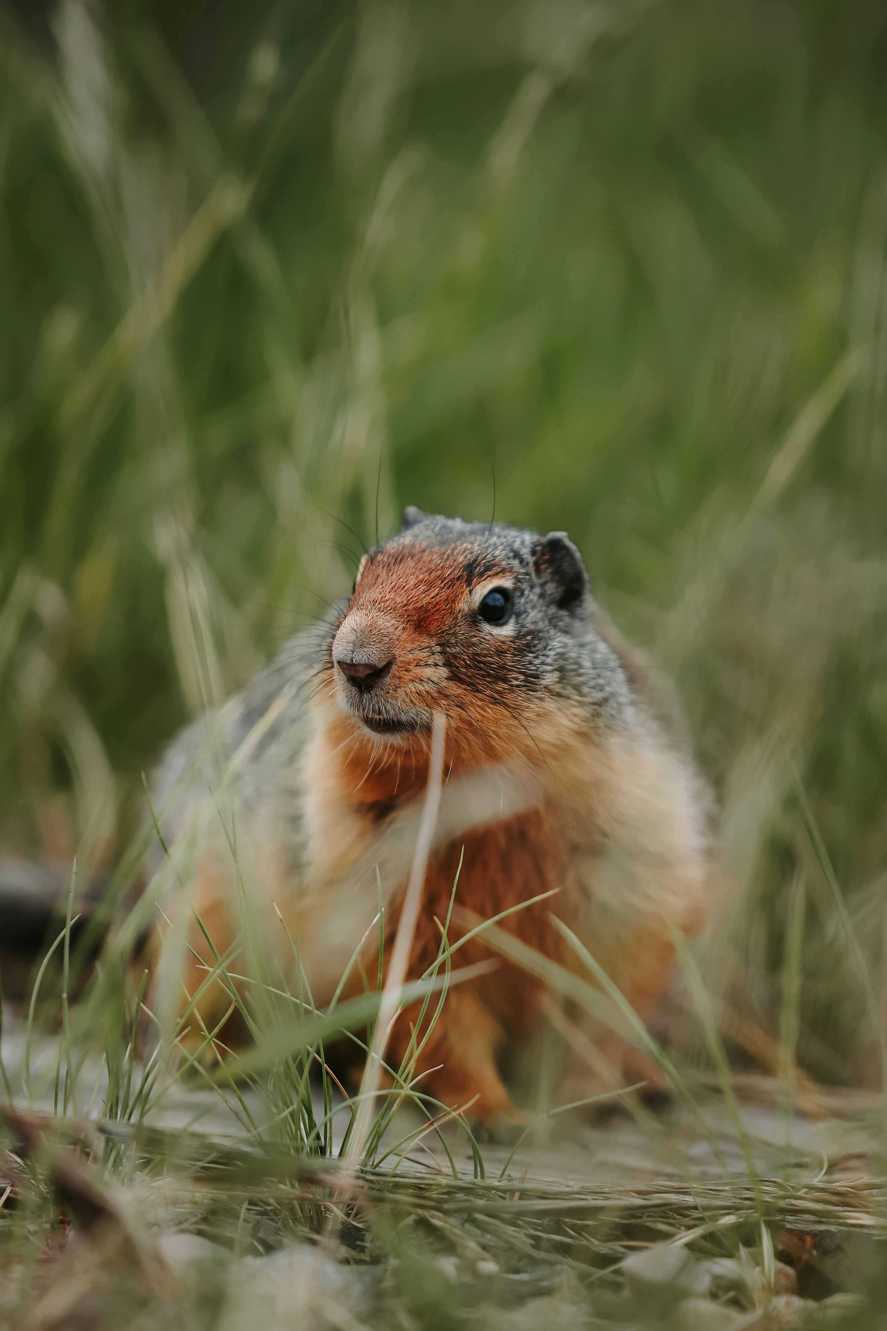 Photo by trail_mix_mike