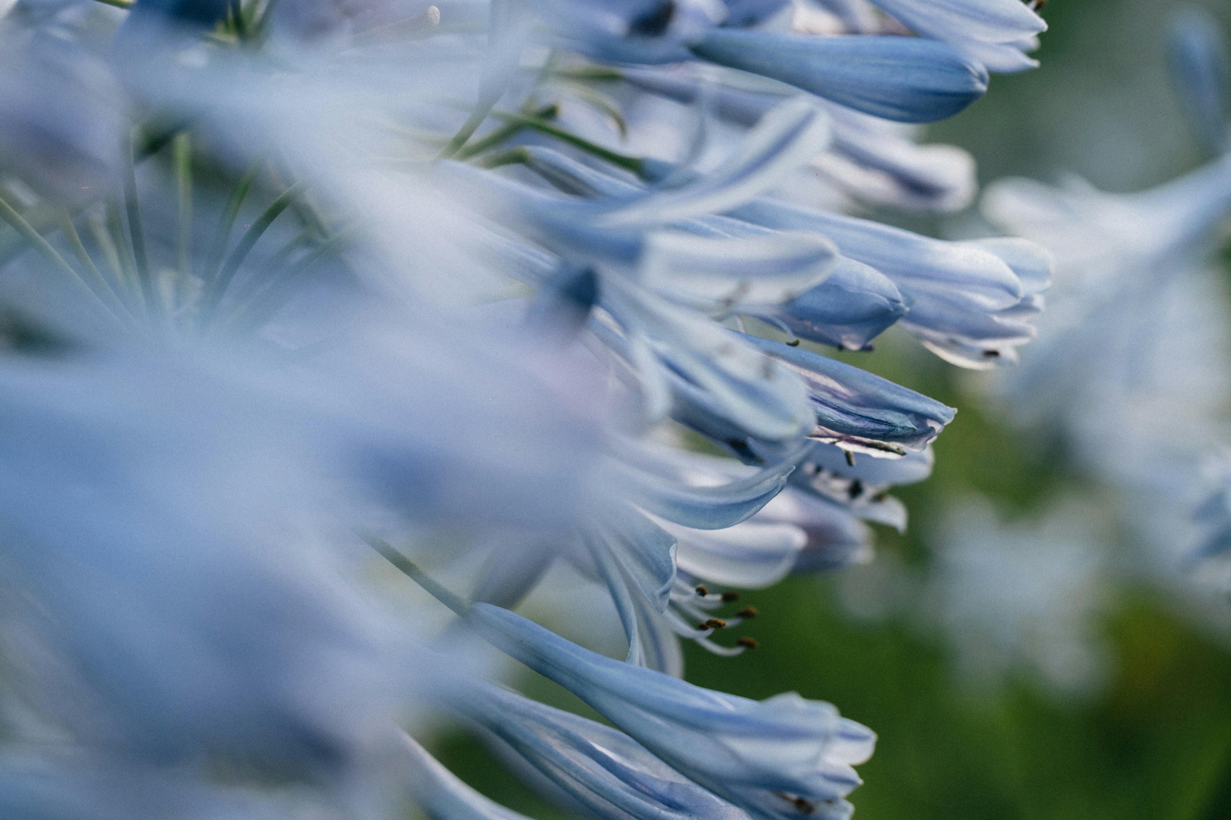 Photo by tsuyoshikozu