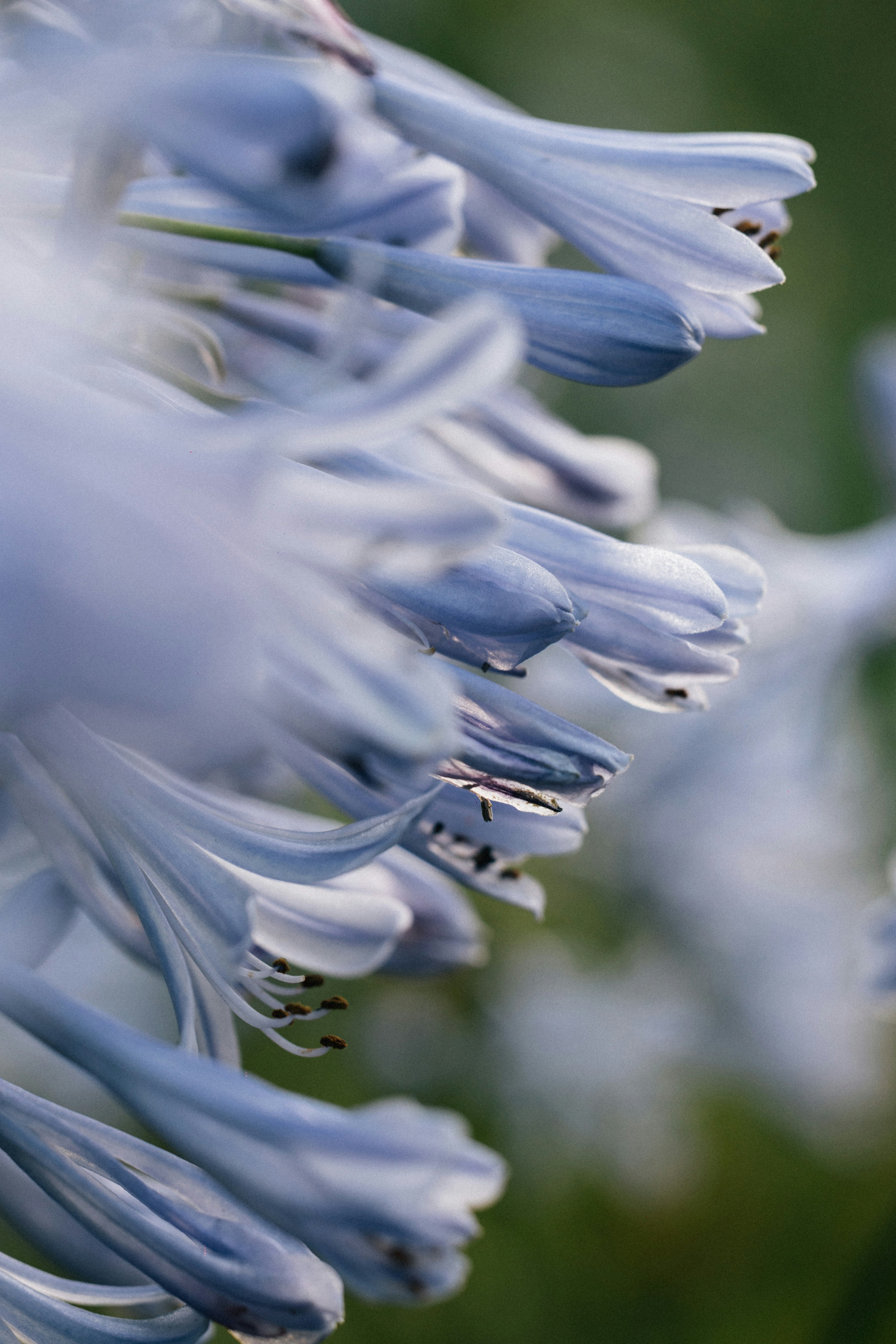 Photo by tsuyoshikozu