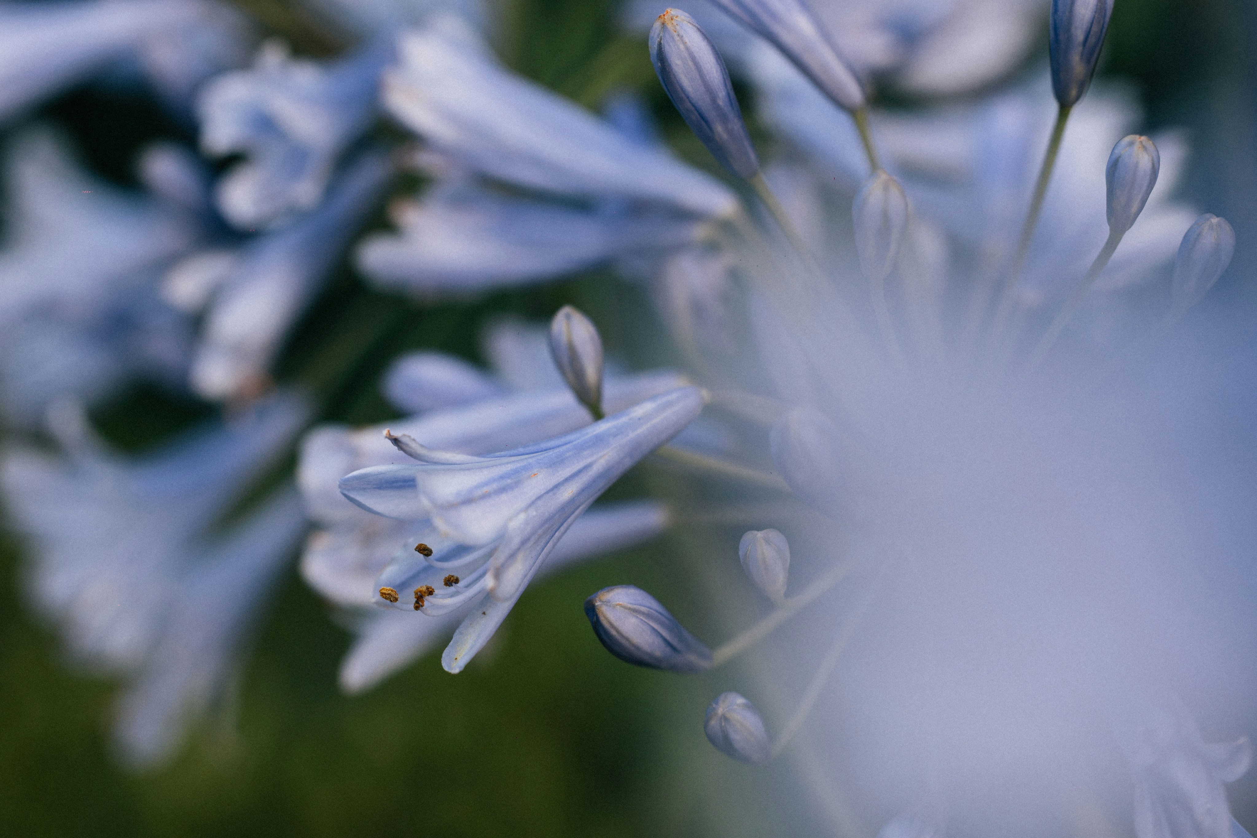 Photo by tsuyoshikozu