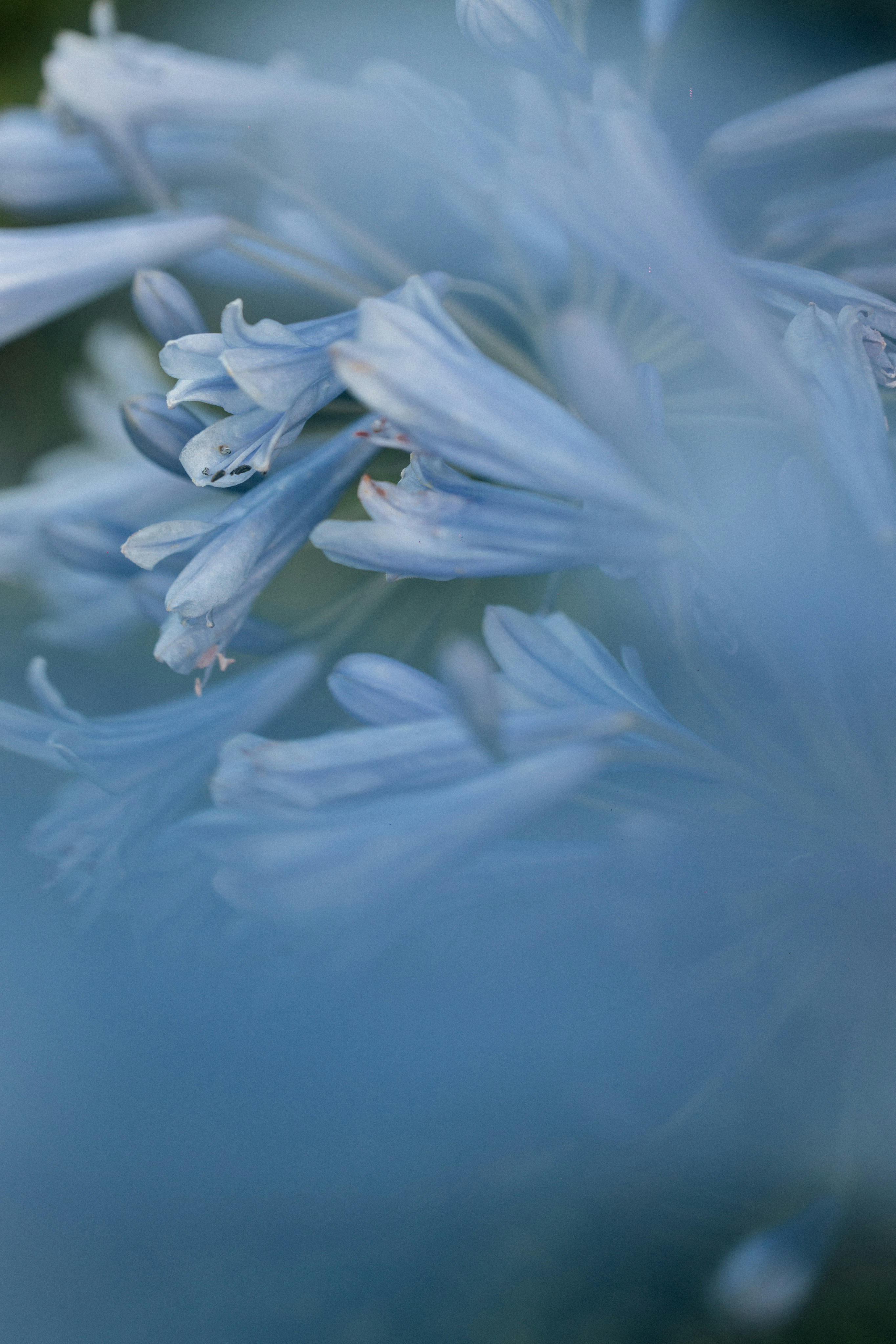 Photo by tsuyoshikozu