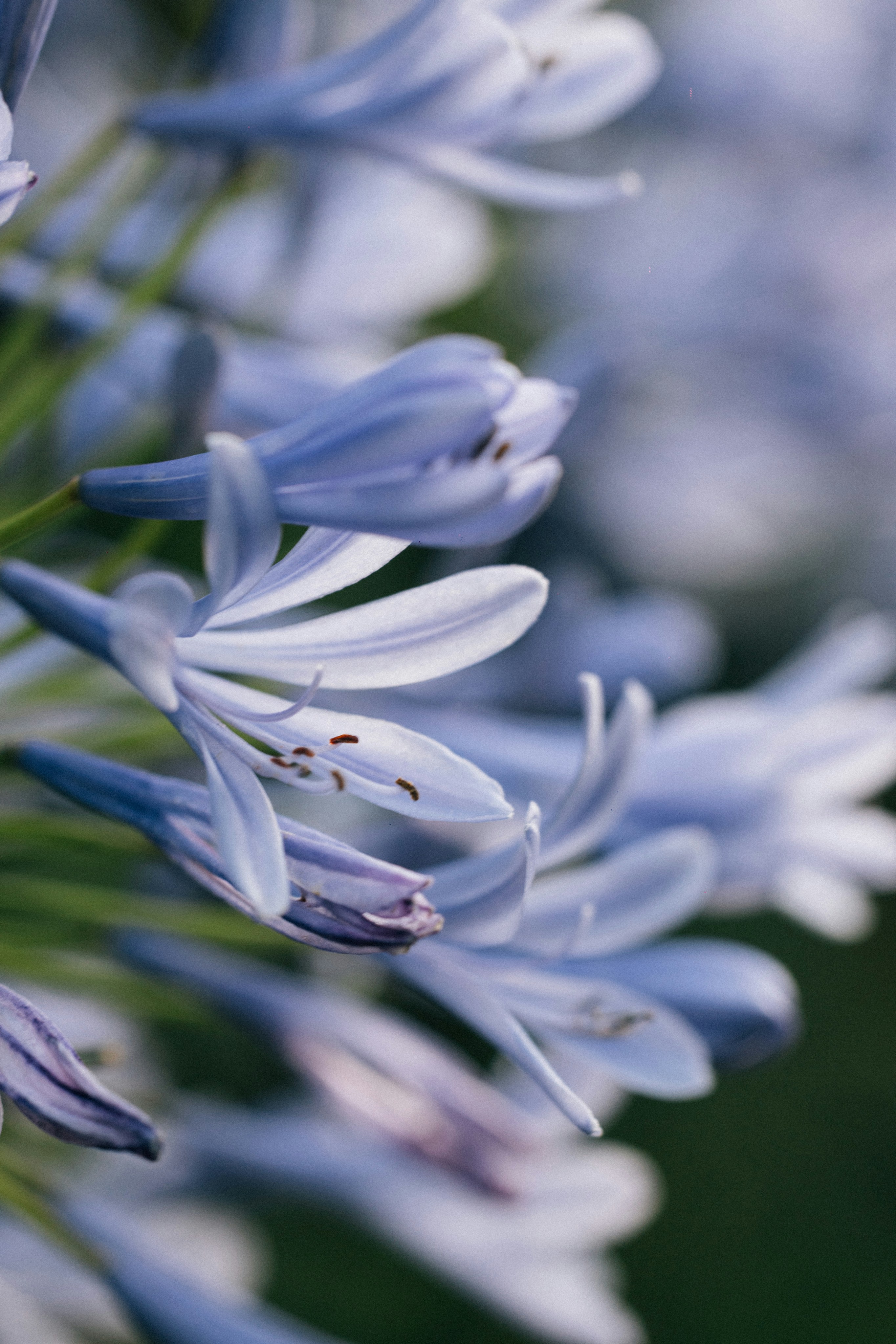 Photo by tsuyoshikozu