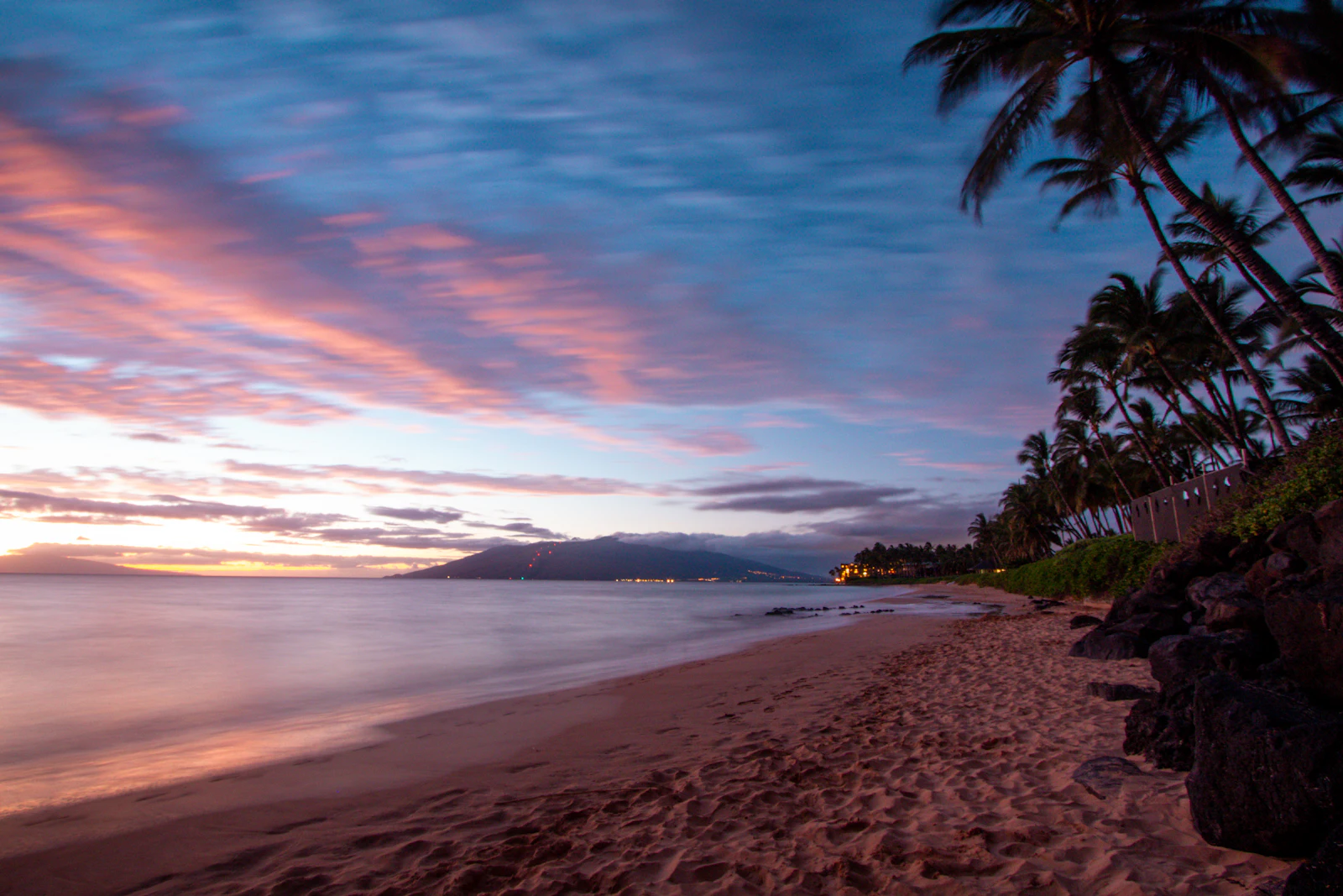South Side sunset — palms over a golden Pacific.