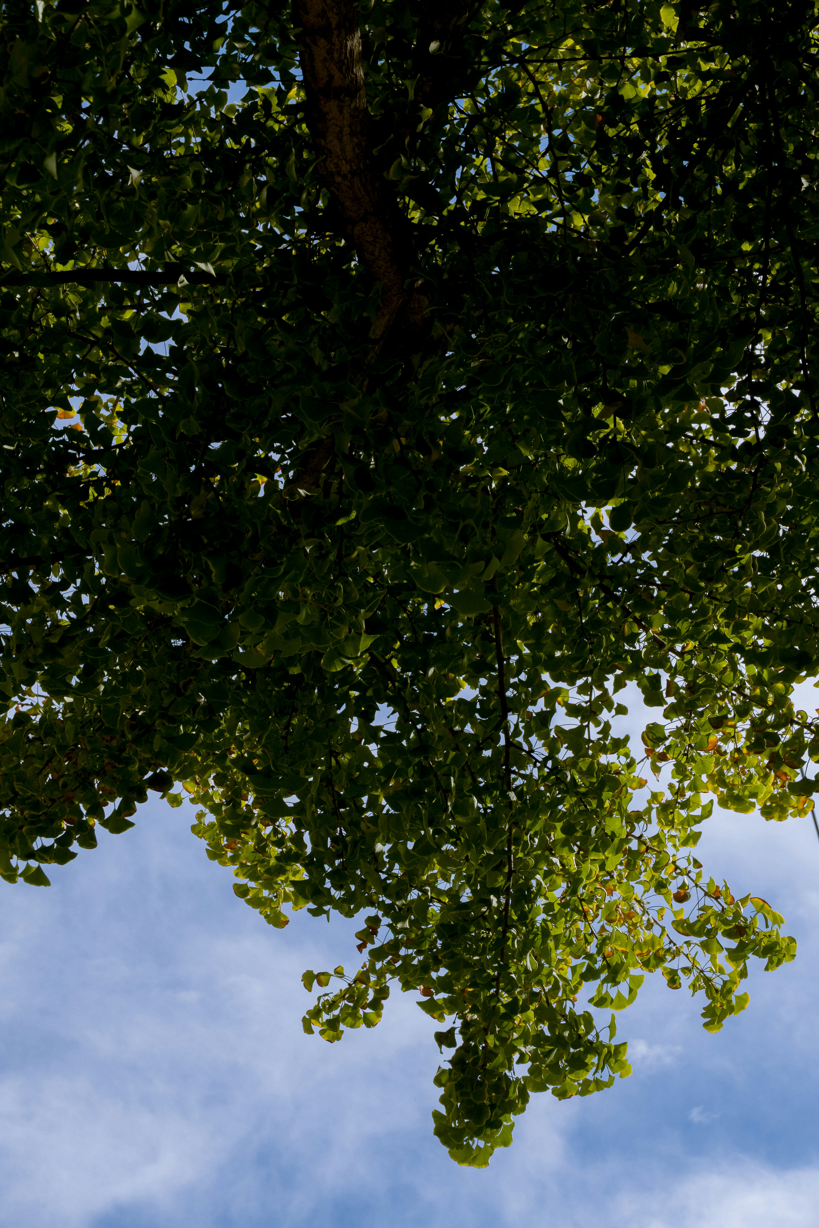 Photo by yourboyhood