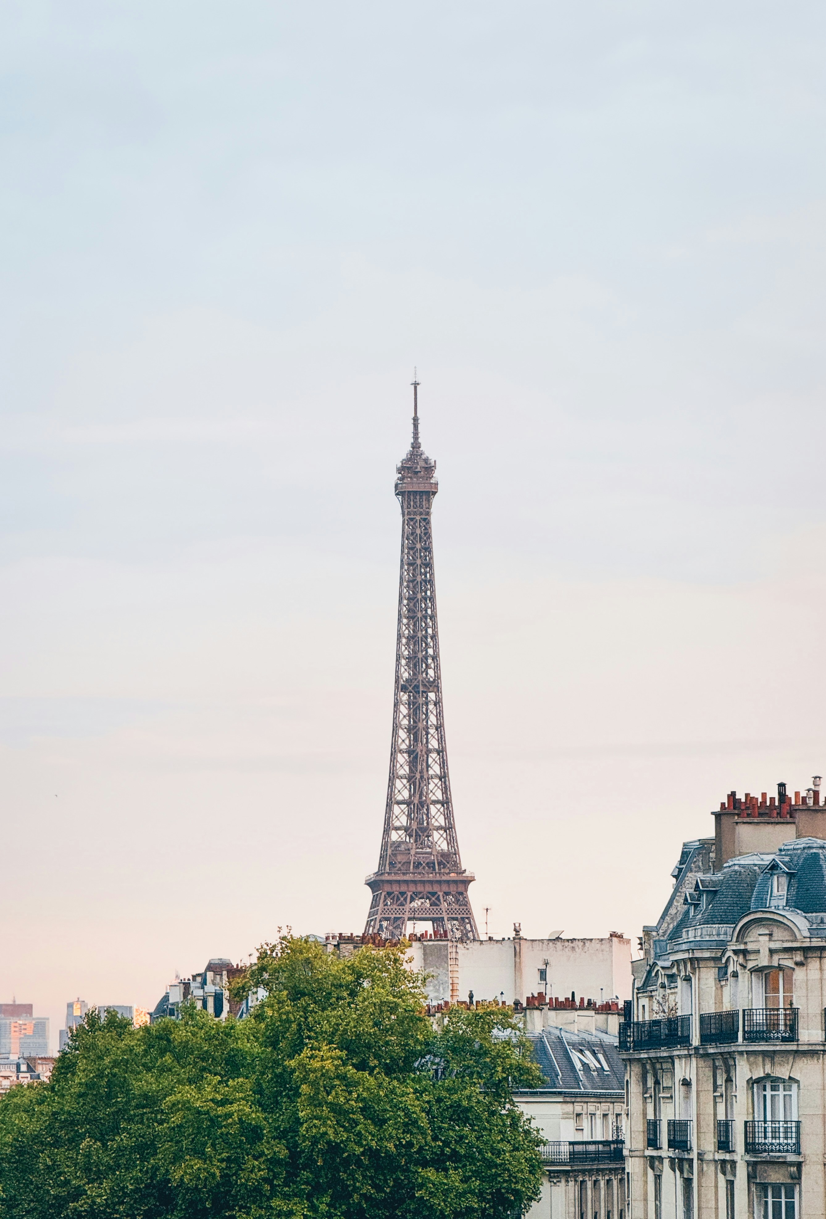Eiffel tower rises above parisian rooftops and trees.