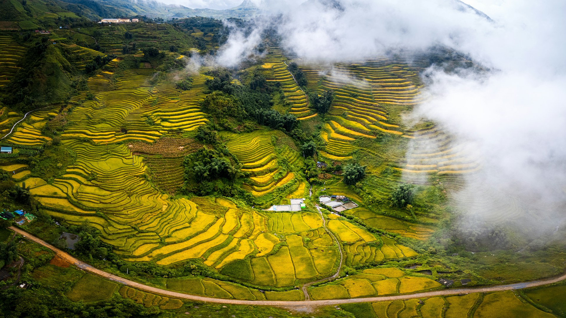 Terraced rice fields in the mountains with clouds